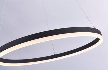 Paul Neuhaus Pendelleuchte TITUS, Dimmfunktion, LED fest integriert, Warmweiß, stufenlos dimmbar, fest integrierte LED, Memoryfunktion, Ø 60 cm