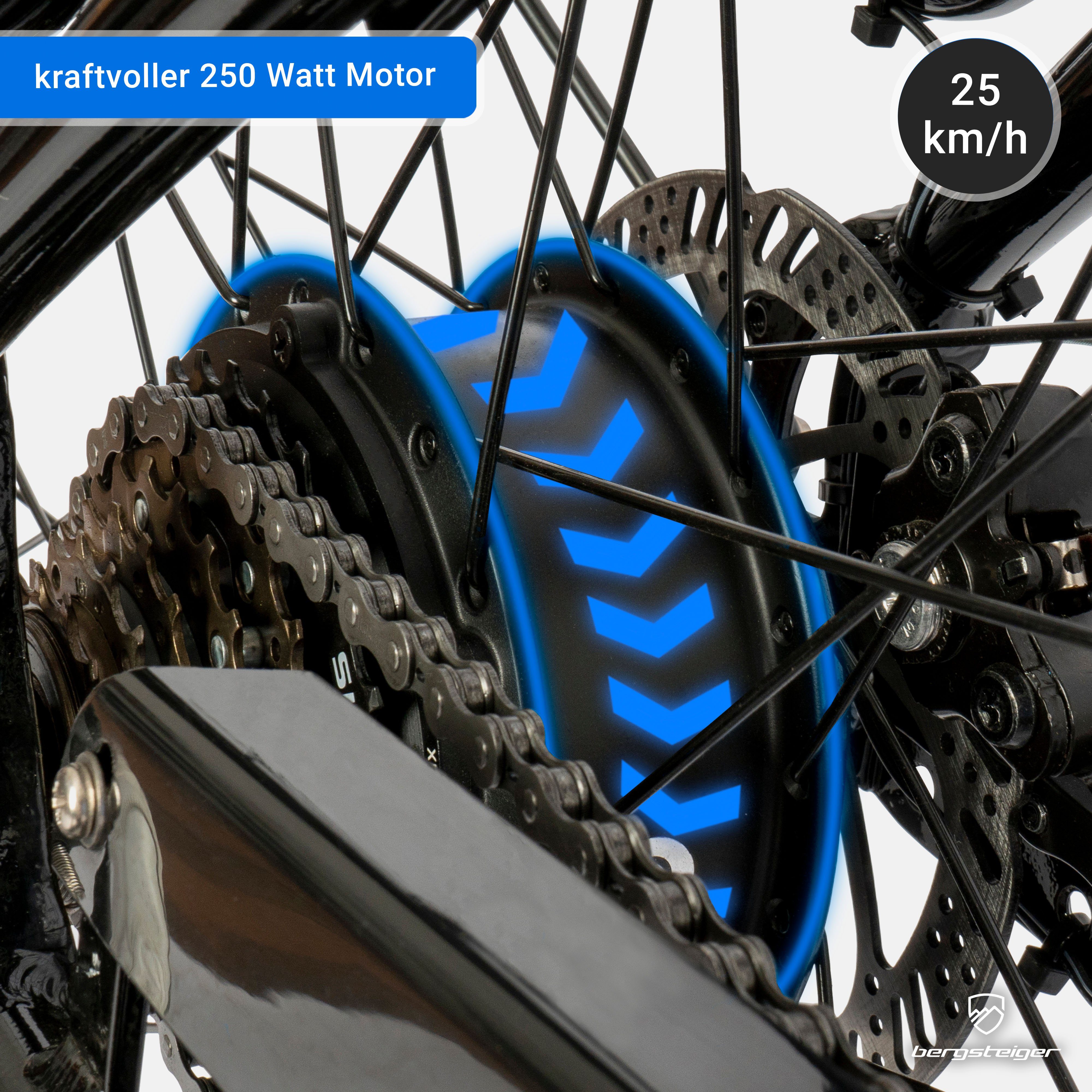 bergsteiger E-Bike Cityrad Hampton 28 Zoll City E-Bike mit 250 Watt Motor, Damen, Herren, 6 Gang, Heckmotor, hydraulischen Tektro Scheibenbremsen