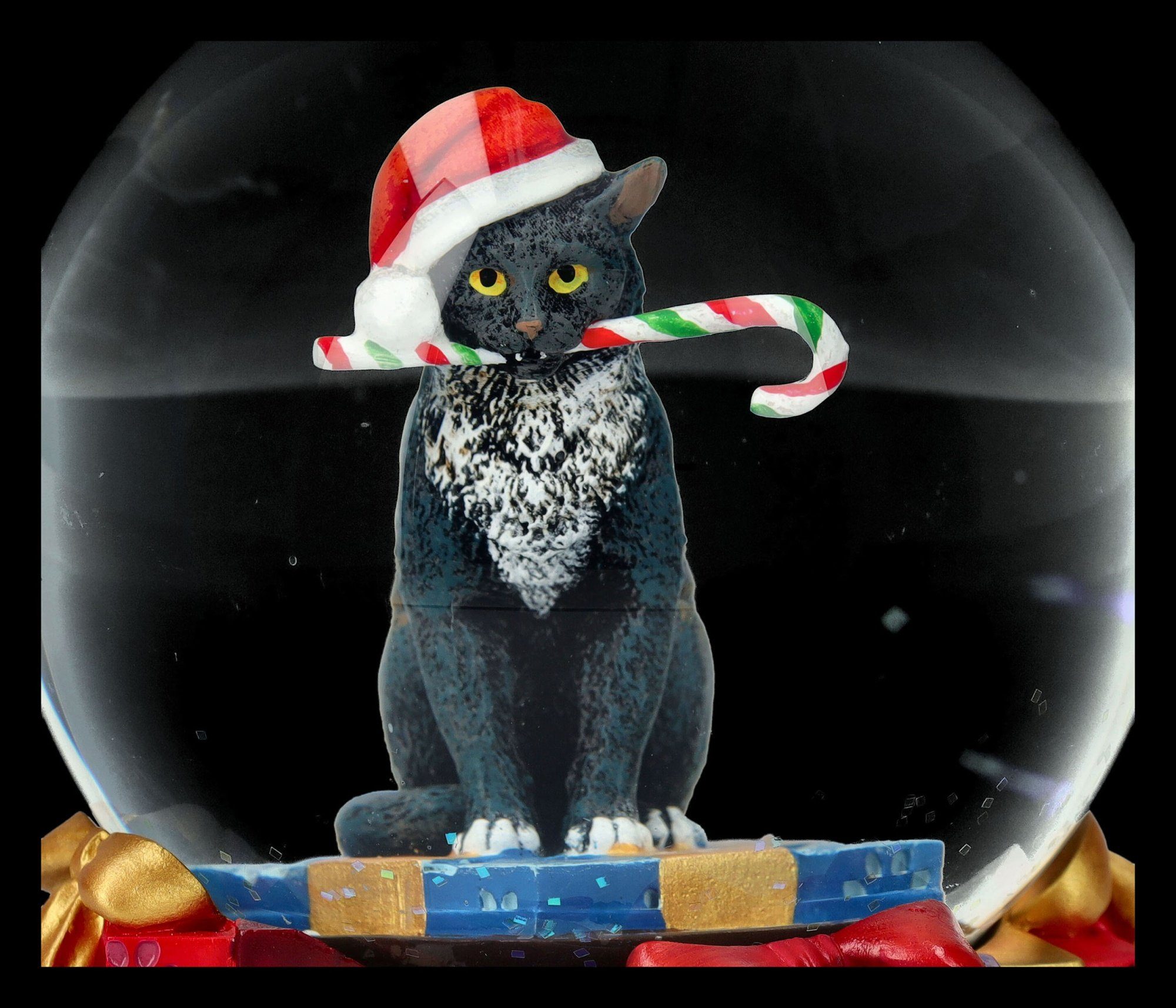 Weihnachtliche Schneekugel - Shop - Lisa Katze Schneekugel - Figuren Dekoration GmbH Parker Krampuss