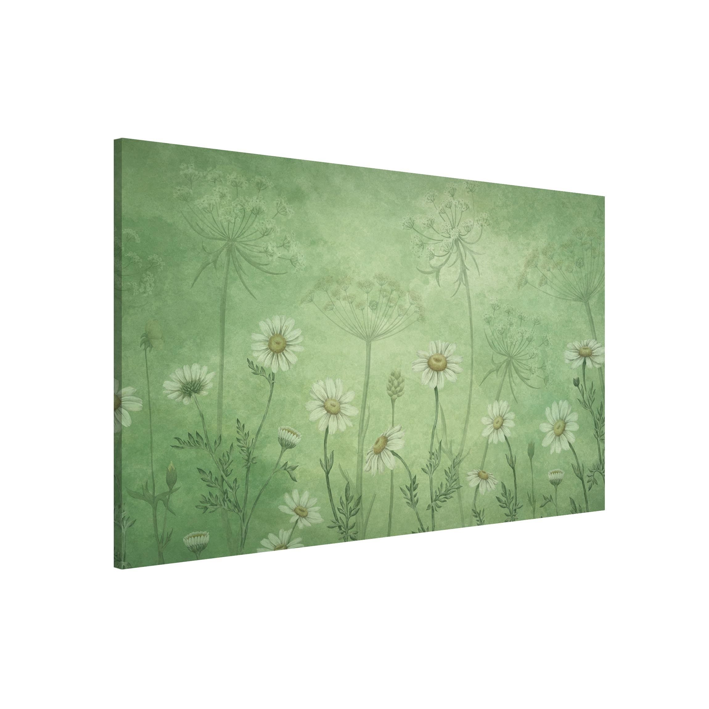 Bilderdepot24 Magnettafel Küche grün Gänseblümchen im grünen Nebel, (1-tlg., Magnetboard Pinnwand für die Wand - metallische Tafel für Magnete), Magnetwand groß mit Motiv Büro Memoboard magnetisch Querformat