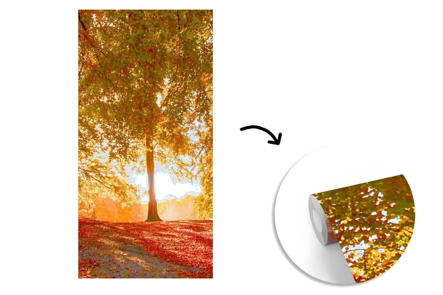 MuchoWow Fototapete (2 Vliestapete Herbst bedruckt, Schlafzimmer - Wald, Küche, Fototapete Licht Matt, für St), - Wohnzimmer