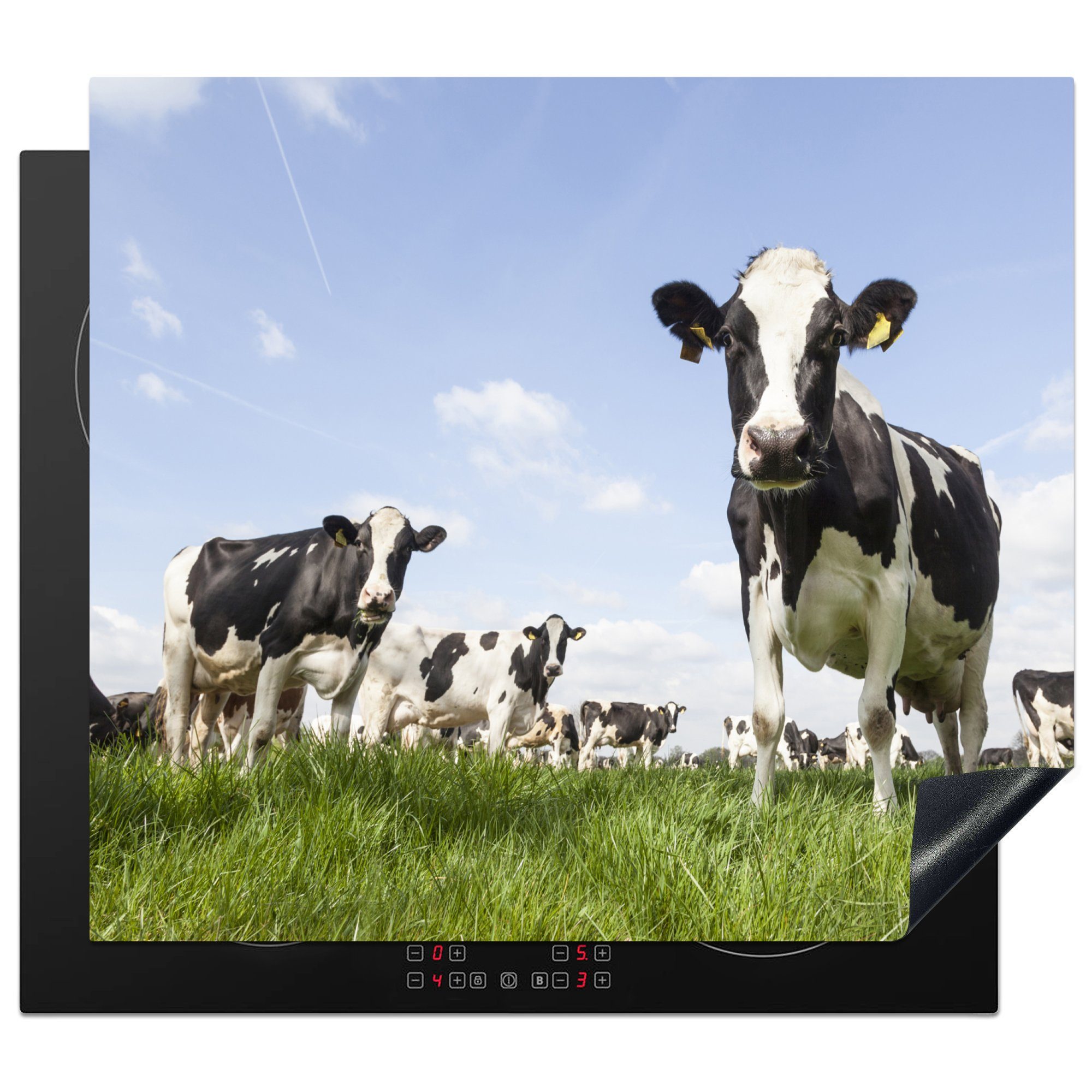 MuchoWow Herdblende-/Abdeckplatte Kühe - Tiere - Weide - Niederländisch, Vinyl, (1 tlg), 60x52 cm, Mobile Arbeitsfläche nutzbar, Ceranfeldabdeckung