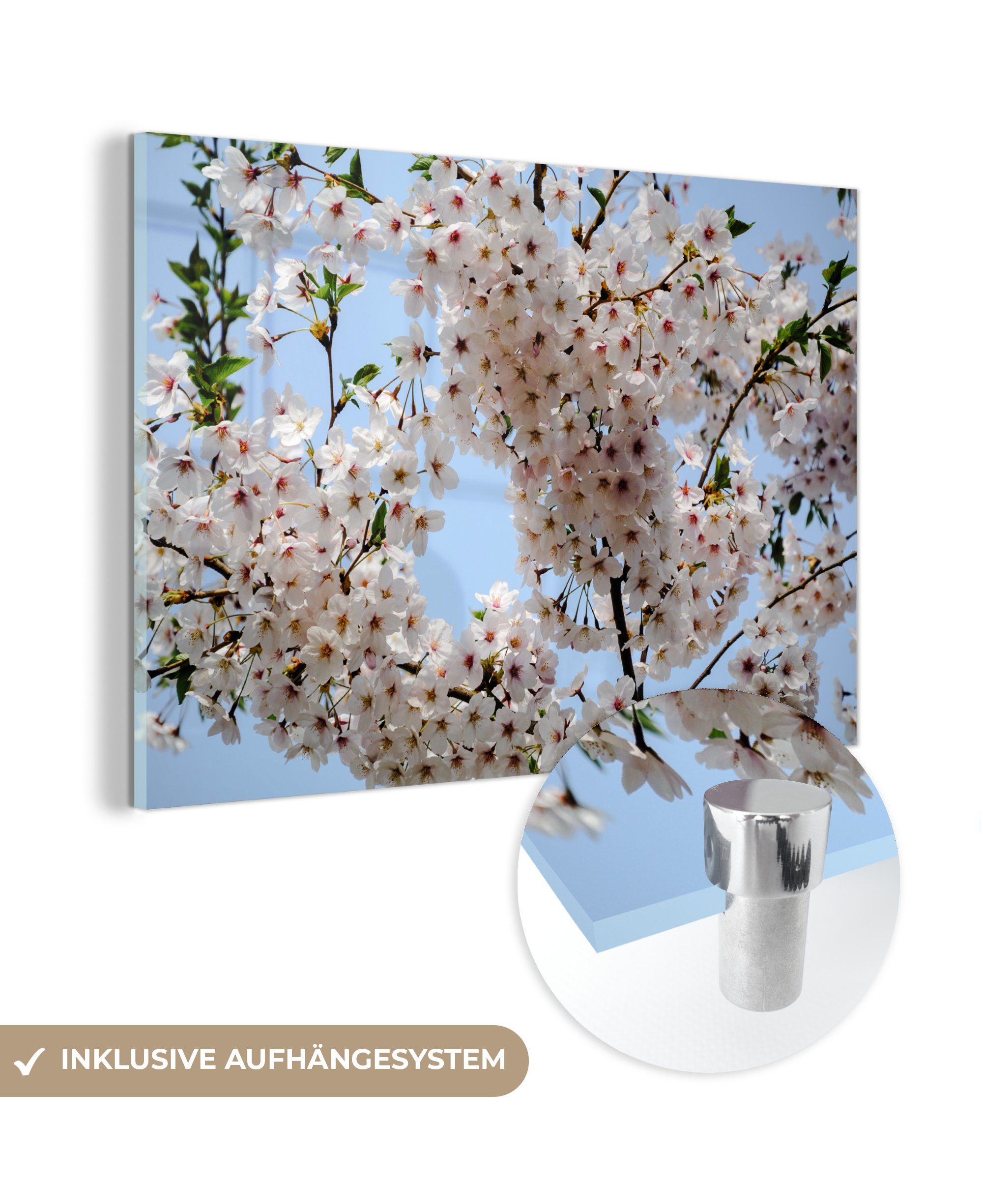 MuchoWow Acrylglasbild Pflanzen - Blumen - Zweig, (1 St), Acrylglasbilder Wohnzimmer & Schlafzimmer