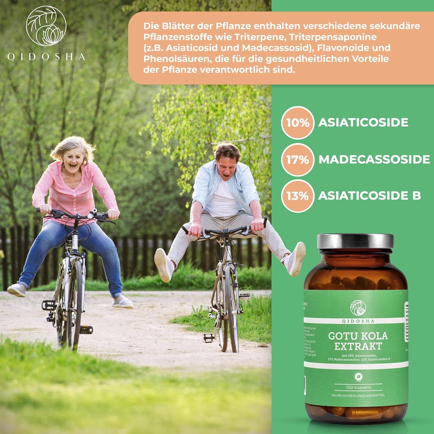 QIDOSHA Gotu Kola Extrakt (Indischer Wassernabel) mit 10% Asiaticosiden Kapseln, 120 er 60:1 Extrakt, höchster Wirkstoffgehalt mit 10% Asiaticoside, 17% Madecassoside, 13% Asiaticoside B, 120 Kapseln im Apothekerglas, Indischer Wassernabel, Tigergras à 120 St., 66 g