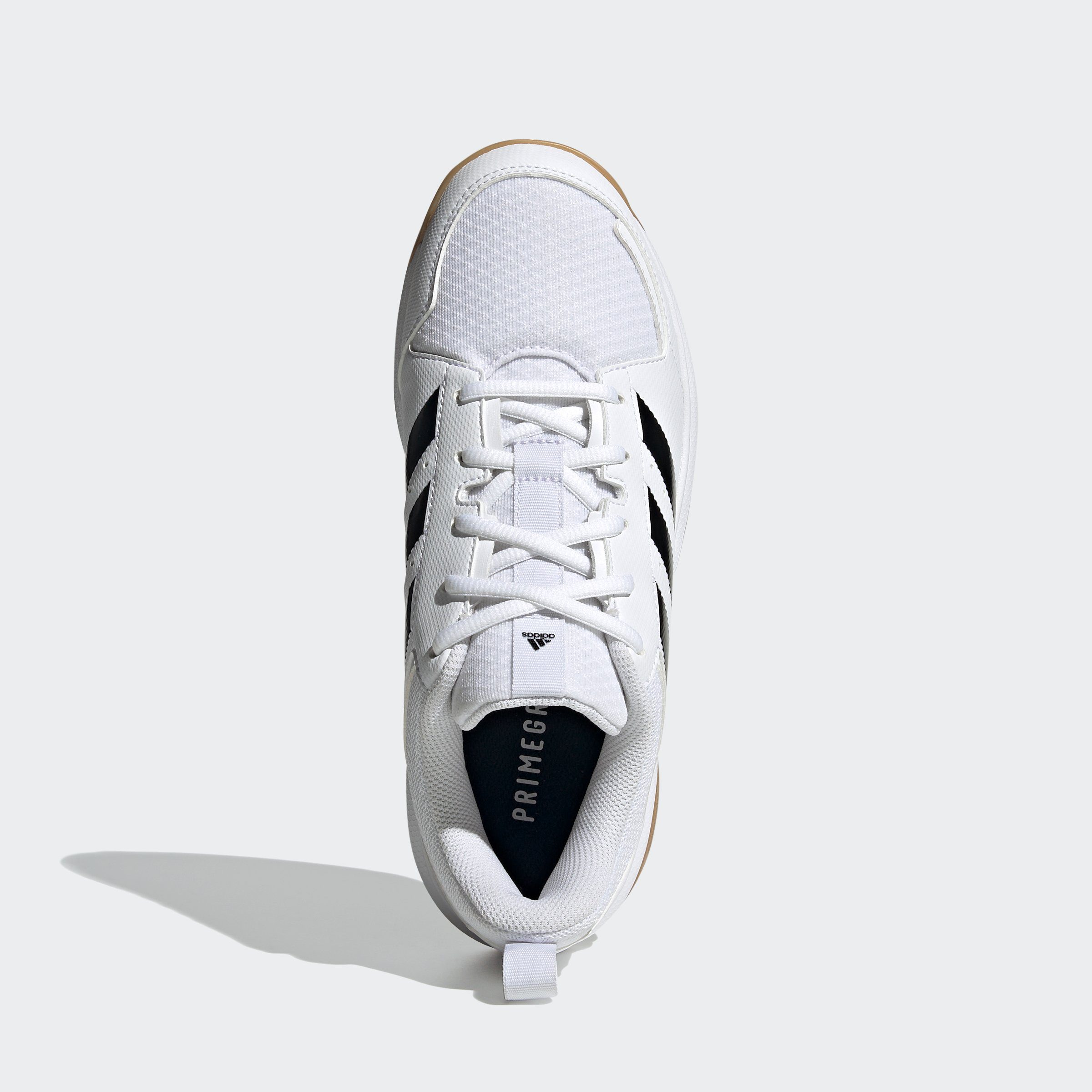 adidas Performance LIGRA 7 INDOOR weiß-schwarz Handballschuh