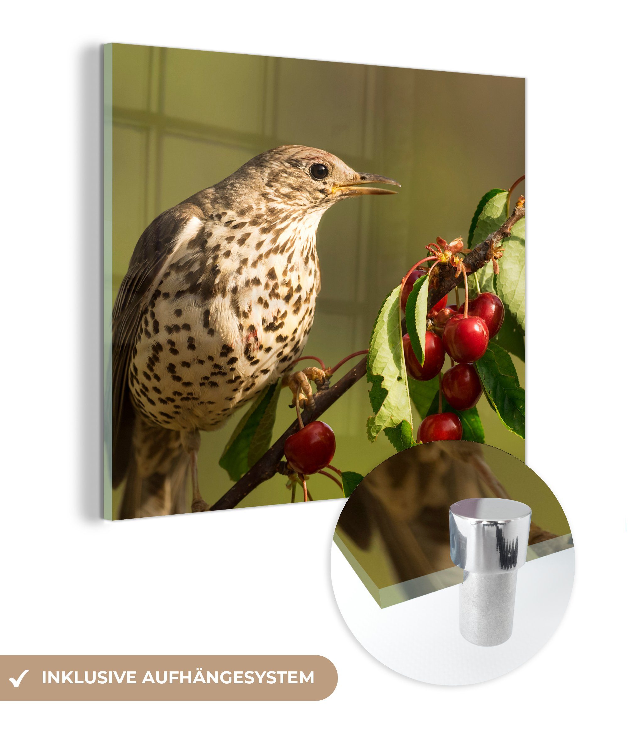 MuchoWow Acrylglasbild Vogel auf einem Ast, (1 St), Glasbilder - Bilder auf Glas Wandbild - Foto auf Glas - Wanddekoration | Bilder