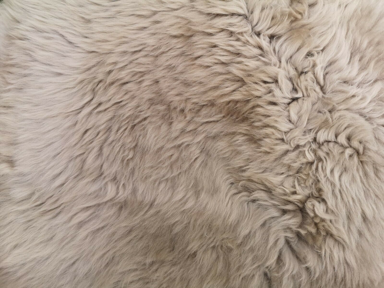 Provellus Fellteppich Lammfell Schaffell Taupe Öko Fell Dicht Weich L-XXL Unikat, 100-110 cm x 50-60 cm – Bild 4 von 5