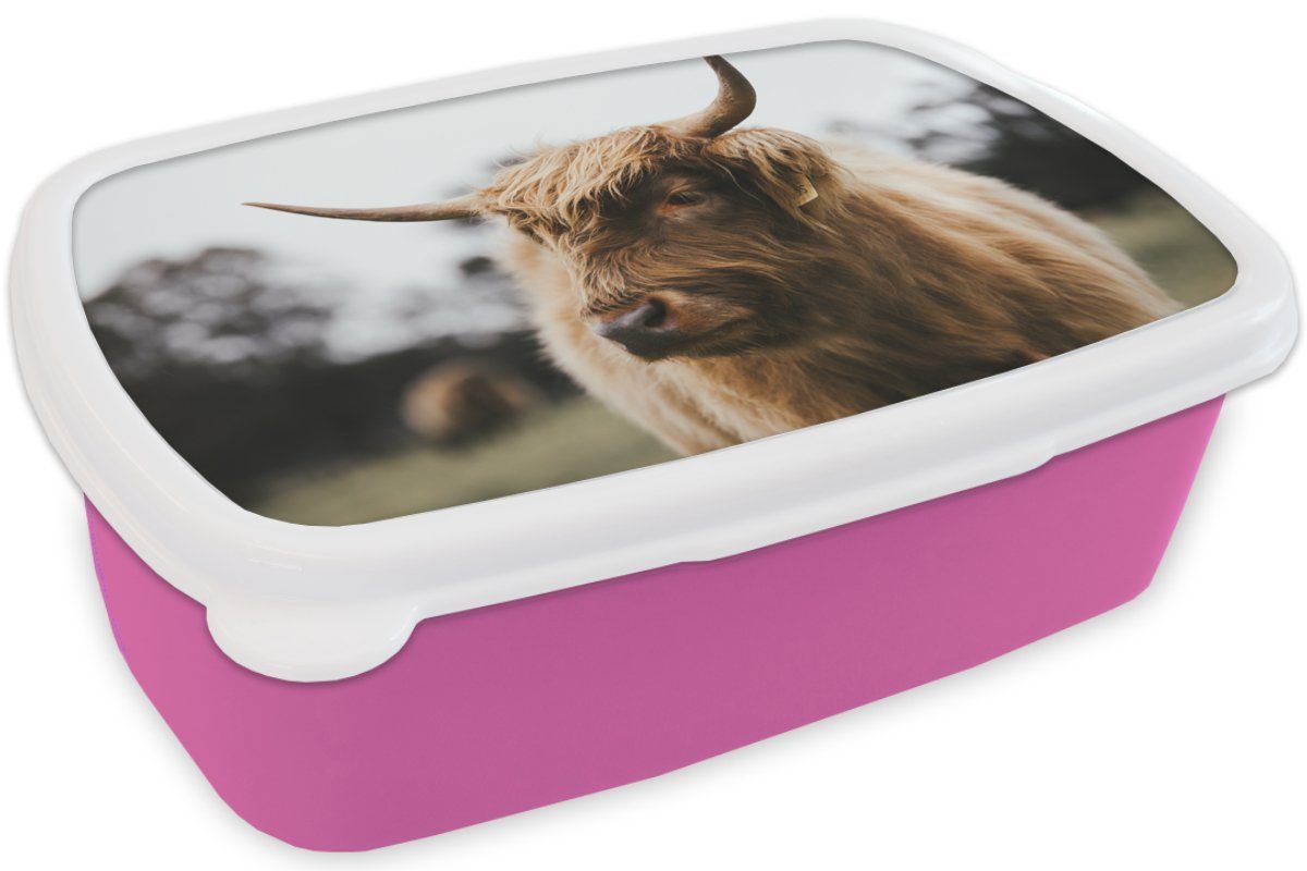 Erwachsene, Schottischer Snackbox, Highlander Tiere für - Mädchen, Lunchbox Kunststoff, Kunststoff MuchoWow - Hörner, (2-tlg), Brotdose Brotbox Kinder, rosa