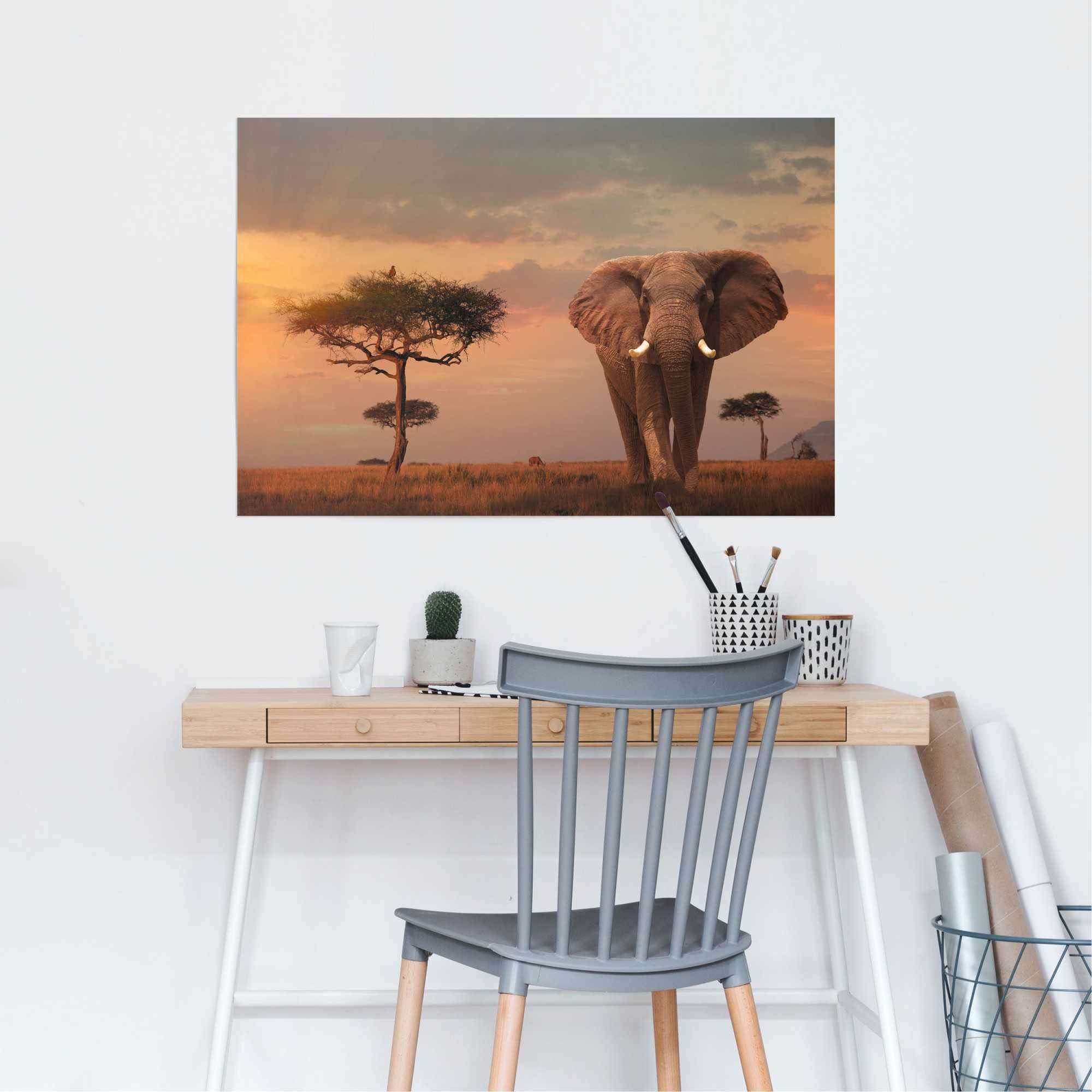 (1 Poster Reinders! Wildtiere St) Afrikas Elefant,
