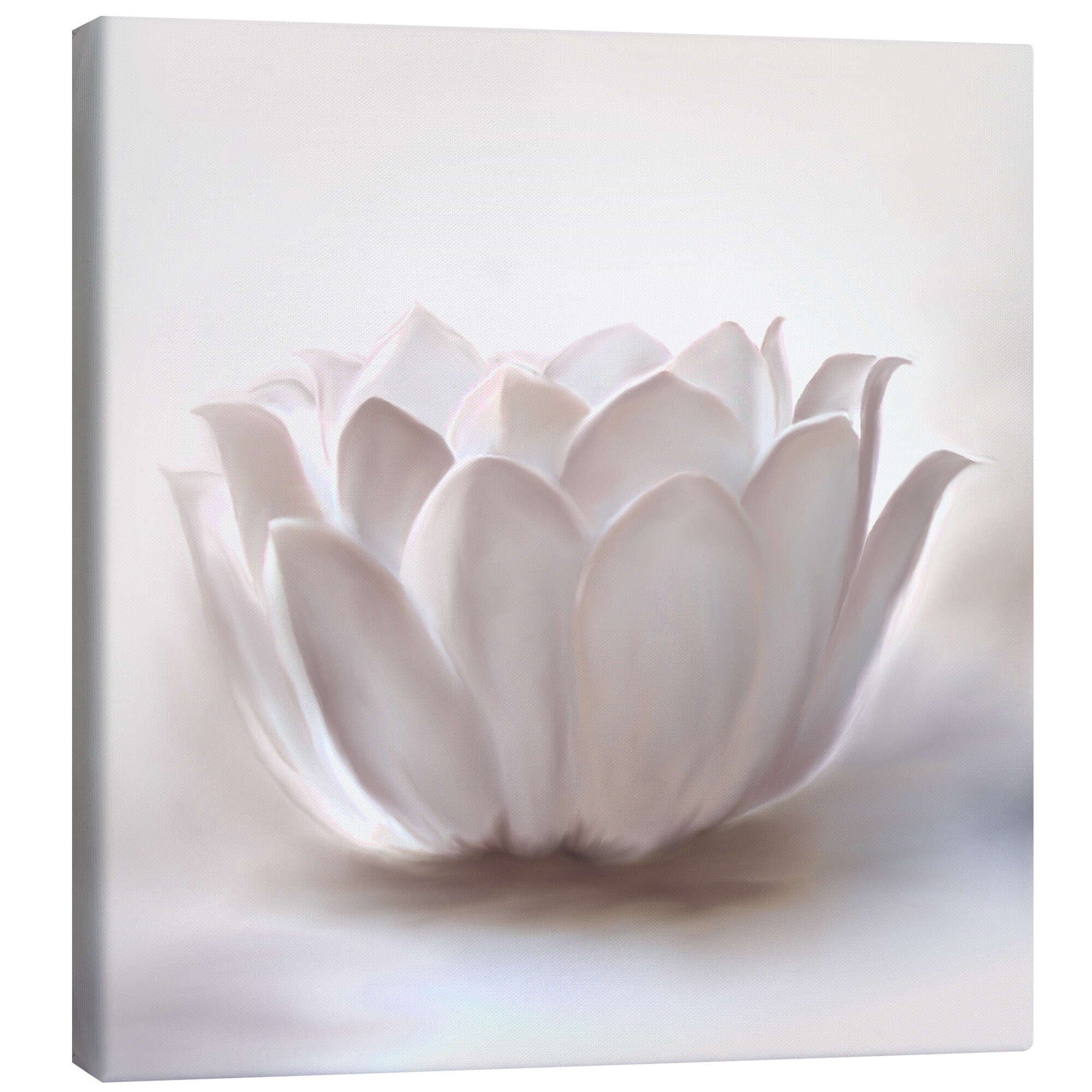 Posterlounge Wandbild Weißer Lotus, Christine Ganz, erhältlich als Poster, Leinwandbild, Wandsticker oder Acrylglasbild