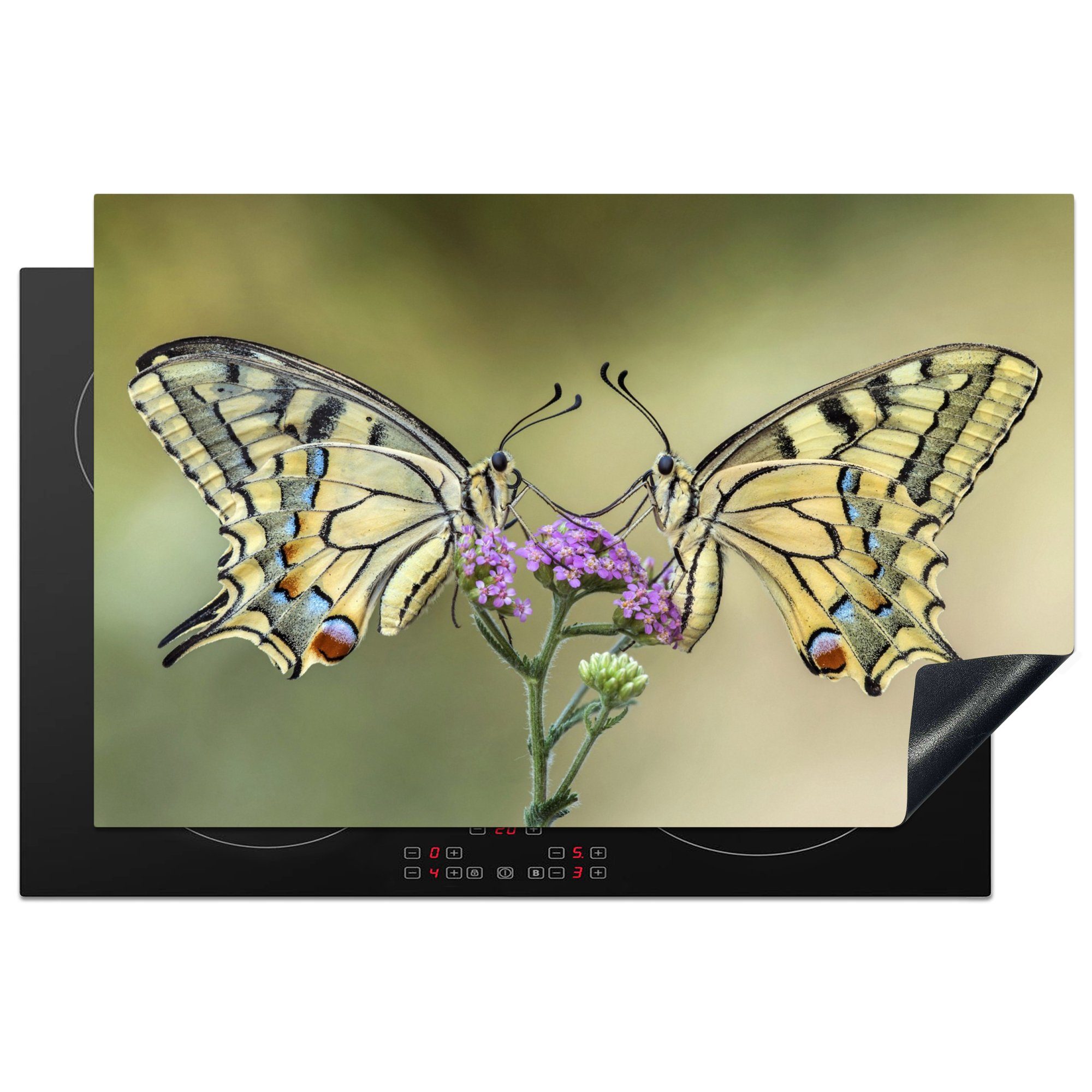 Ceranfeldabdeckung Induktionskochfeld Insekten, 81x52 tlg), cm, (1 für Blumen Schmetterlinge Schutz Herdblende-/Abdeckplatte MuchoWow Vinyl, - die - küche,