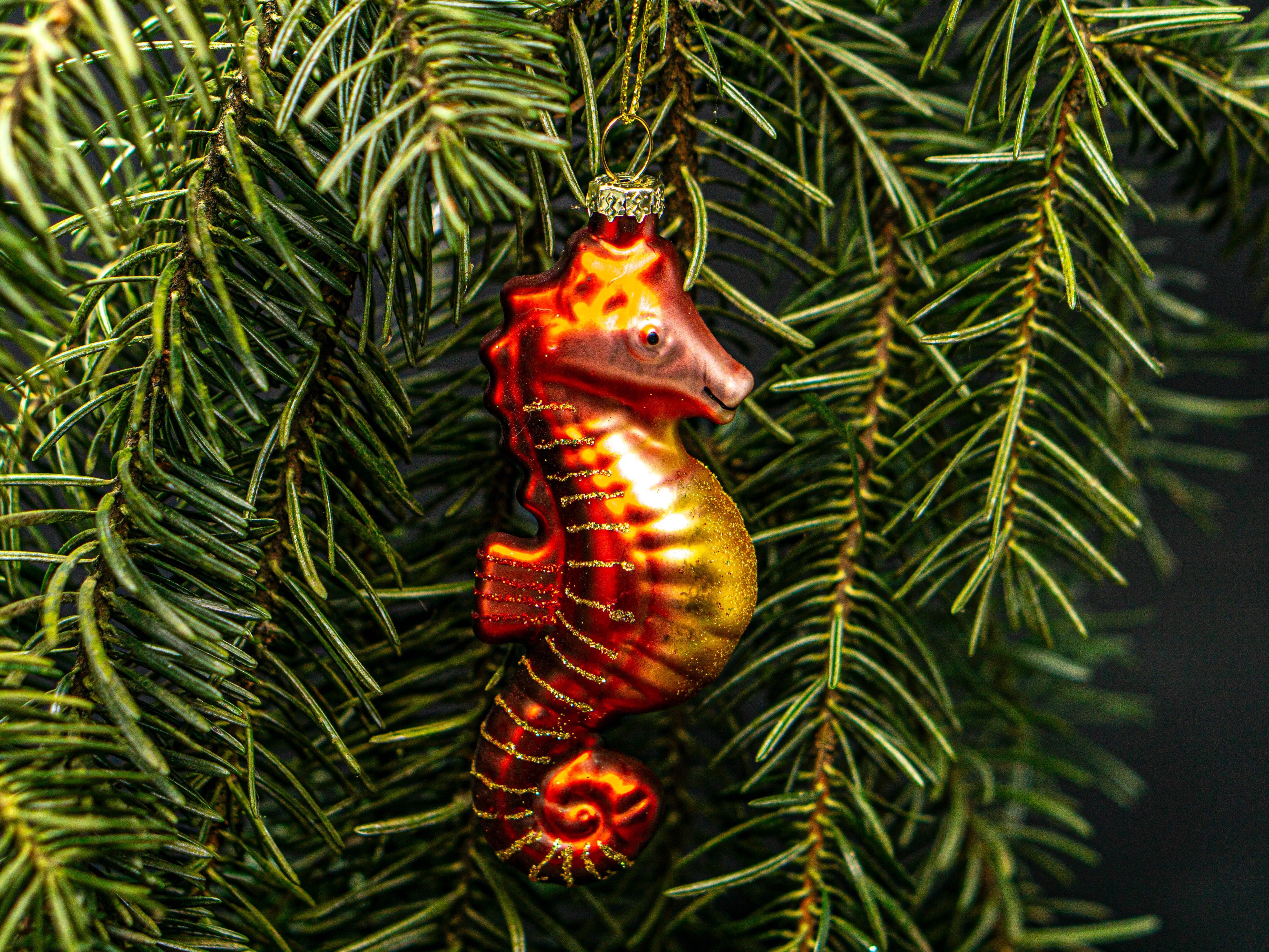Nature Planet Weihnachtsbaumkugel Weihnachtskugel Seepferdchen