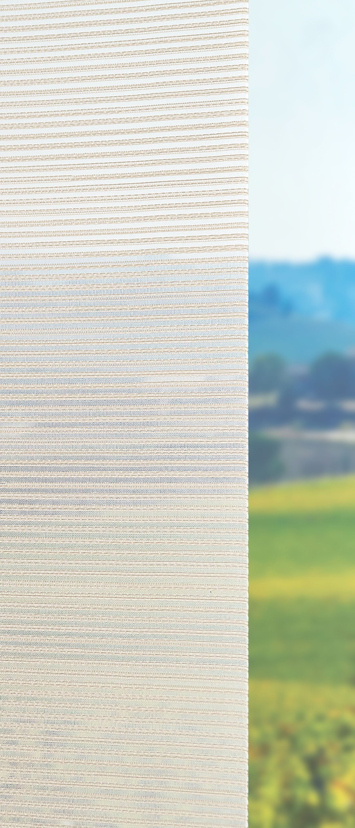 Schiebegardine transparent, St), 245x60cm Schiebegardine beige hellbeige LYSEL®, Rankengewächs, HxB (1