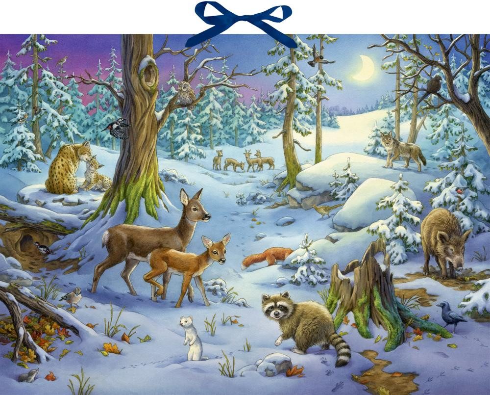 COPPENRATH DIE SPIEGELBURG Adventskalender Sound-Adventskalender - Hört ihr die Tiere im Winterwald?
