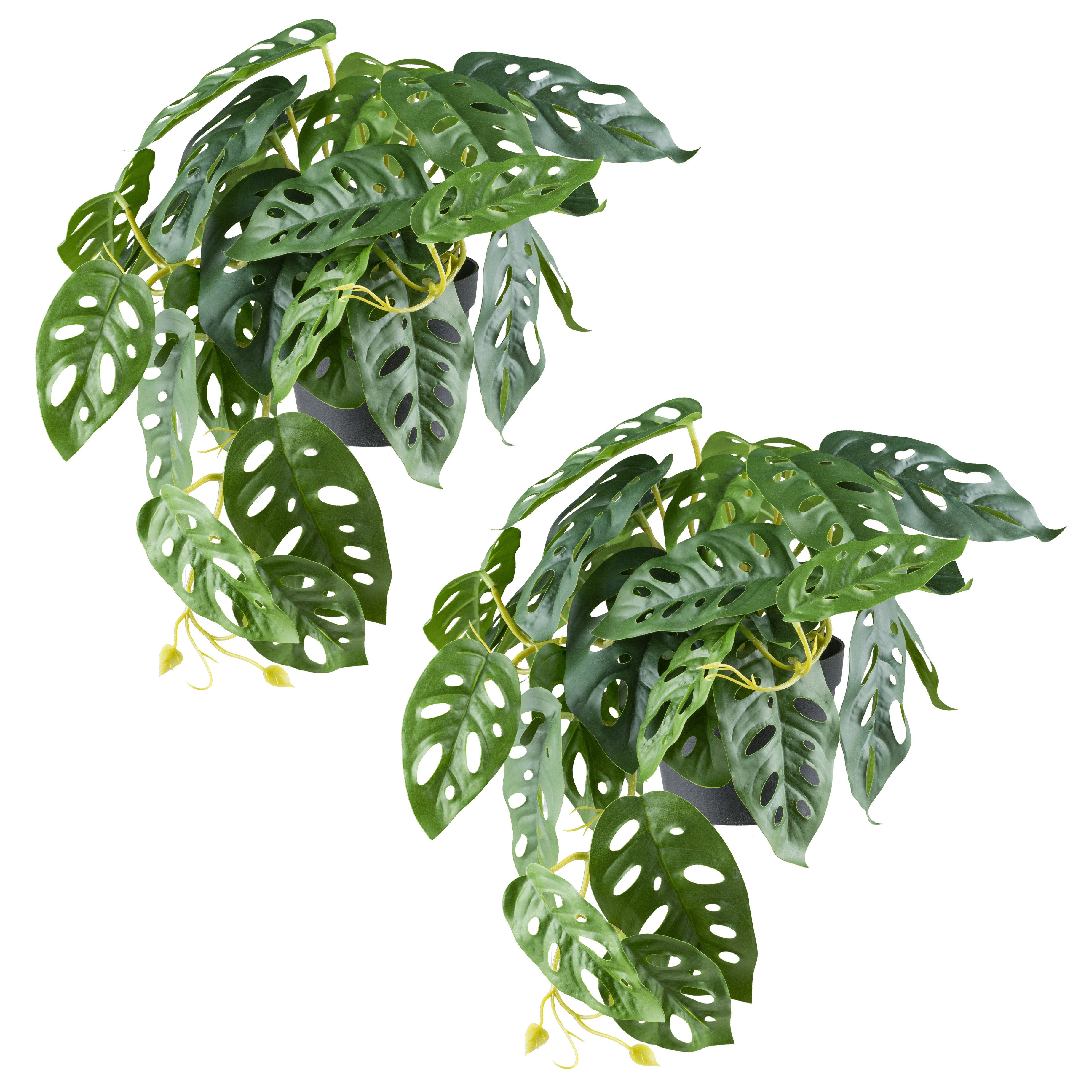 Kunstpflanze Monstera adesonii, Creativ green, Höhe günstig online kaufen