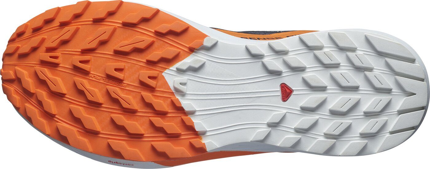 Salomon SHOES SENSE RIDE 5 GTX günstig online kaufen