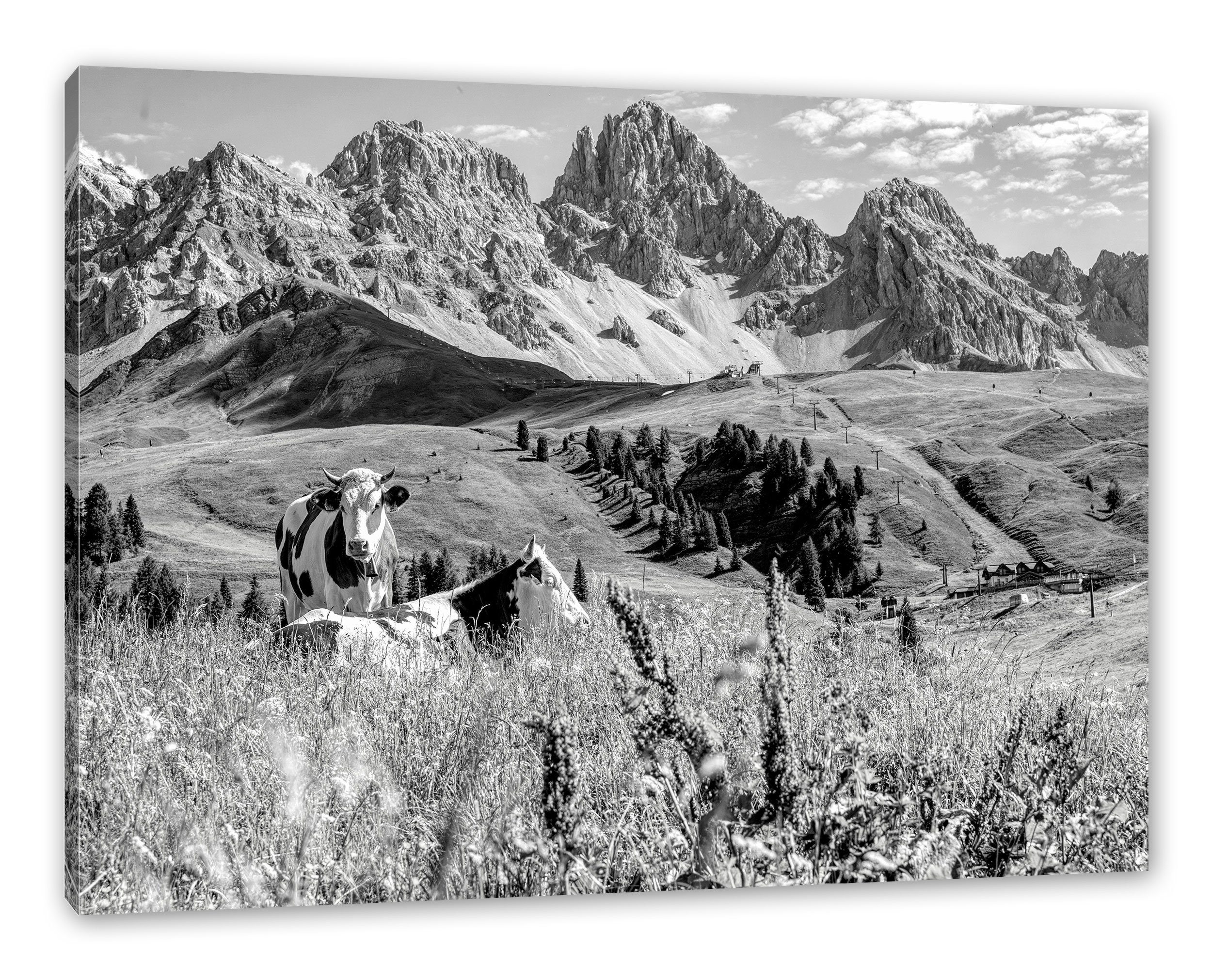 Pixxprint Leinwandbild Alpenszene mit Kühen auf grüner Wiese, Monochrome, A günstig online kaufen