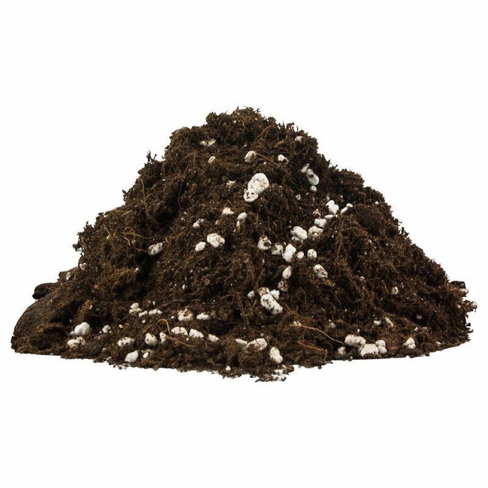 Plagron Pflanzerde Plagron Light Mix mit Perlite Bio Erde Sack, mit Mineral günstig online kaufen