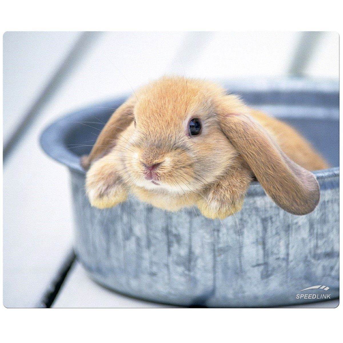Speedlink Mauspad Mouse-Pad Maus-Pad Motiv Rabbit dünn 1,5mm, Baby Hase, Mouse Maus Pad dünn, rutschfest, flach, Textil-Oberfläche