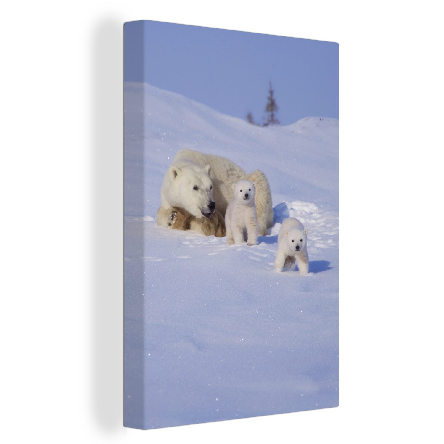 OneMillionCanvasses® Leinwandbild Eisbär mit Jungtier, (1 St), Leinwandbild fertig bespannt inkl. Zackenaufhänger, Gemälde, 20x30 cm