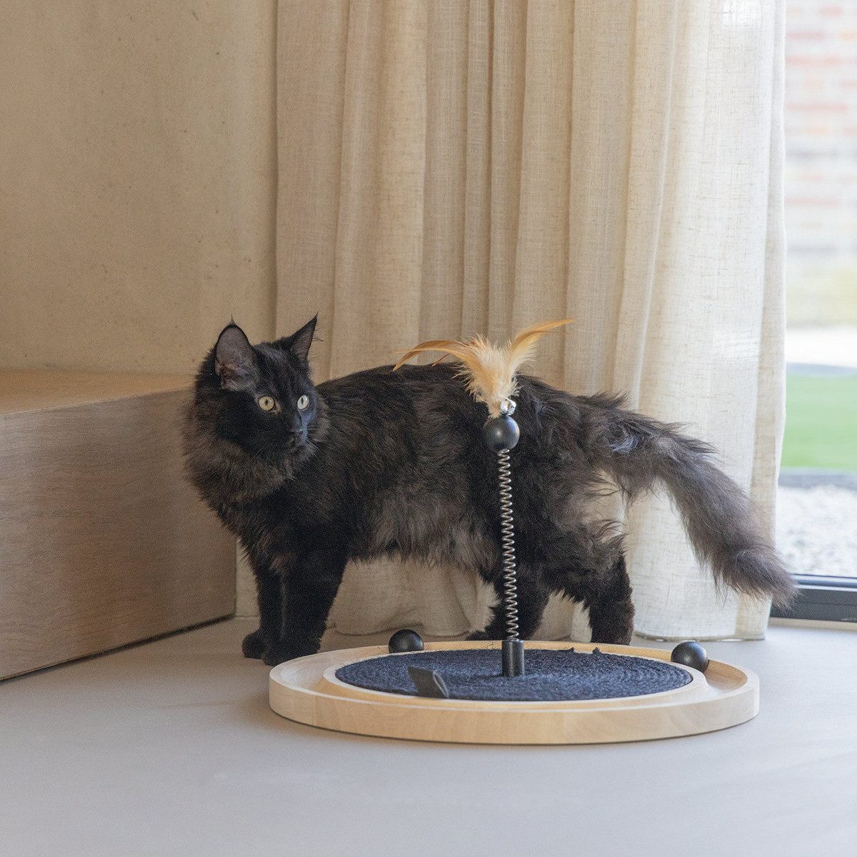 Designed By Lotte Kratzbrett Kratzspielzeug Idah aus Holz schwarz günstig online kaufen