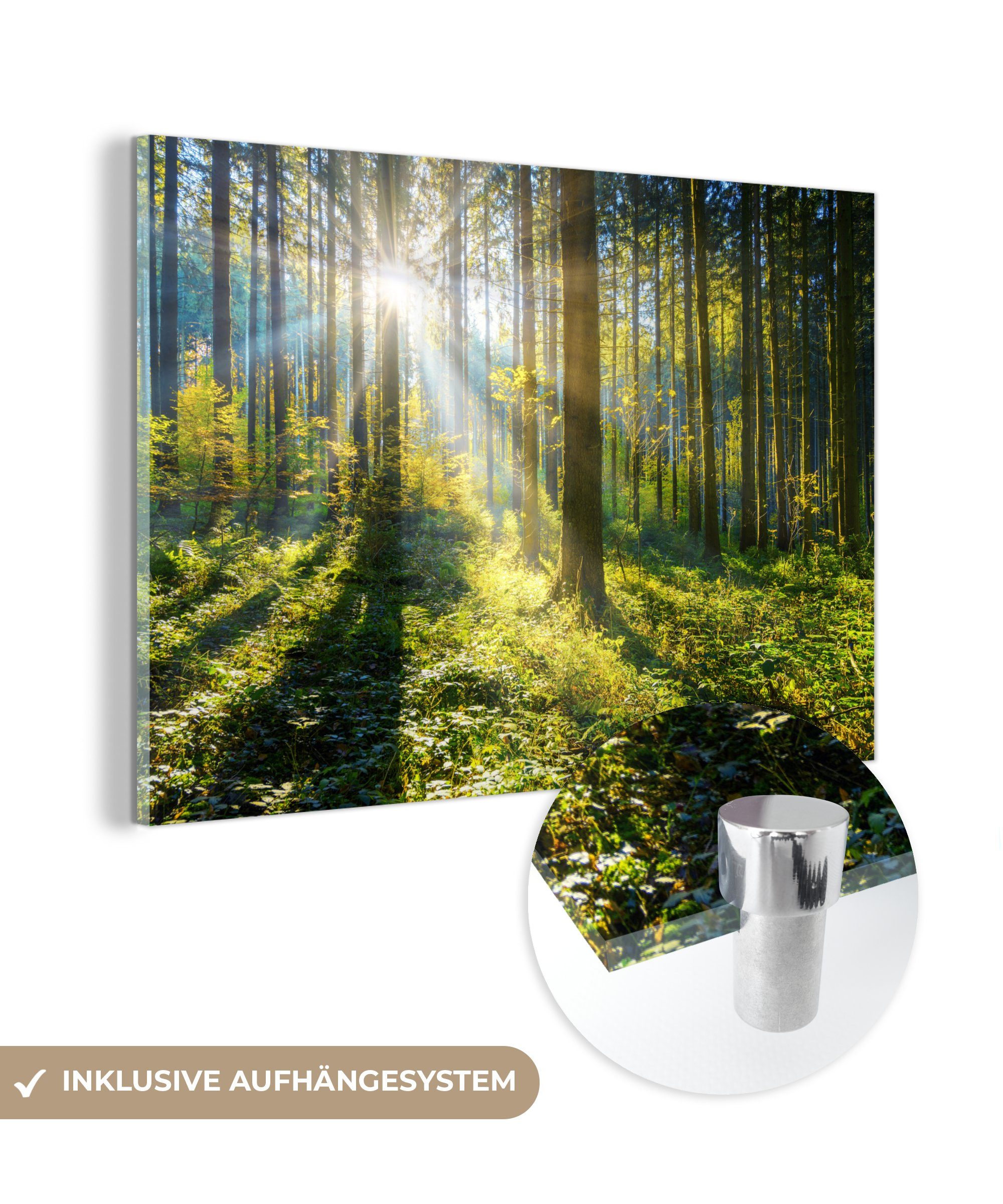MuchoWow Acrylglasbild Wald - Sonne - Sommer, (1 St), Acrylglasbilder Wohnzimmer & Schlafzimmer