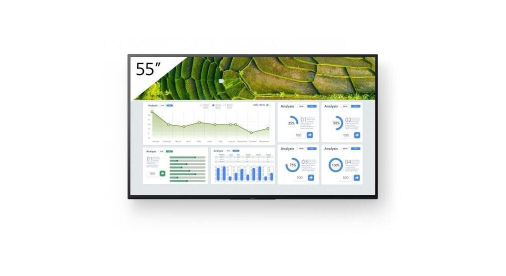 Sony Sony FW-55BZ30L LED-Monitor (3840 x 2160, 8 ms Reaktionszeit, 60 Hz, VA Panel)