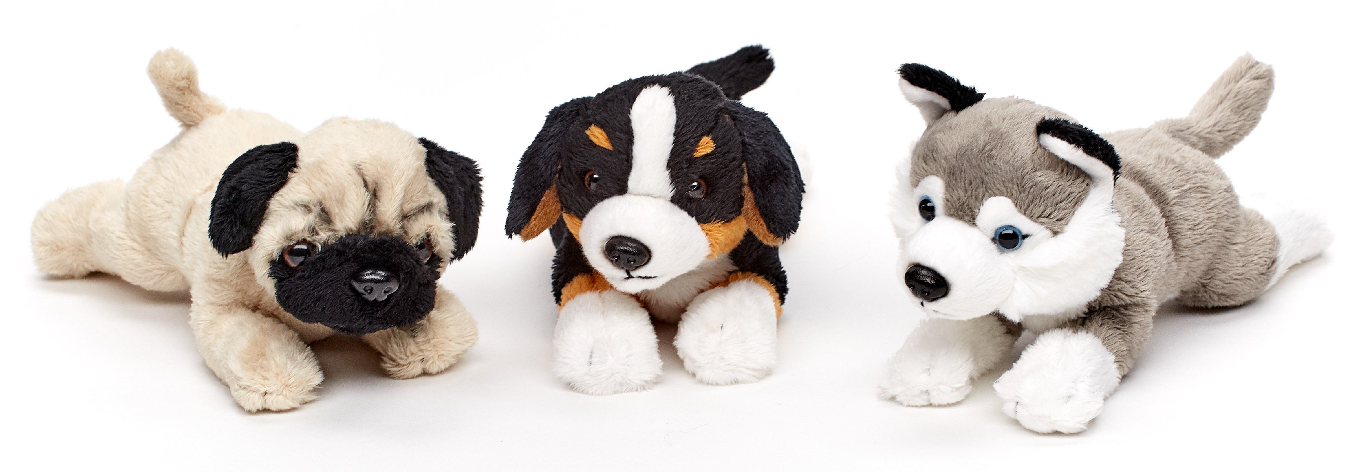 Füllmaterial recyceltes zu - Plushie - (Länge) - Kuscheltier cm Uni-Toys Plüsch-Hund (ohne Plüschtier, 22 Leine) 100 Husky %
