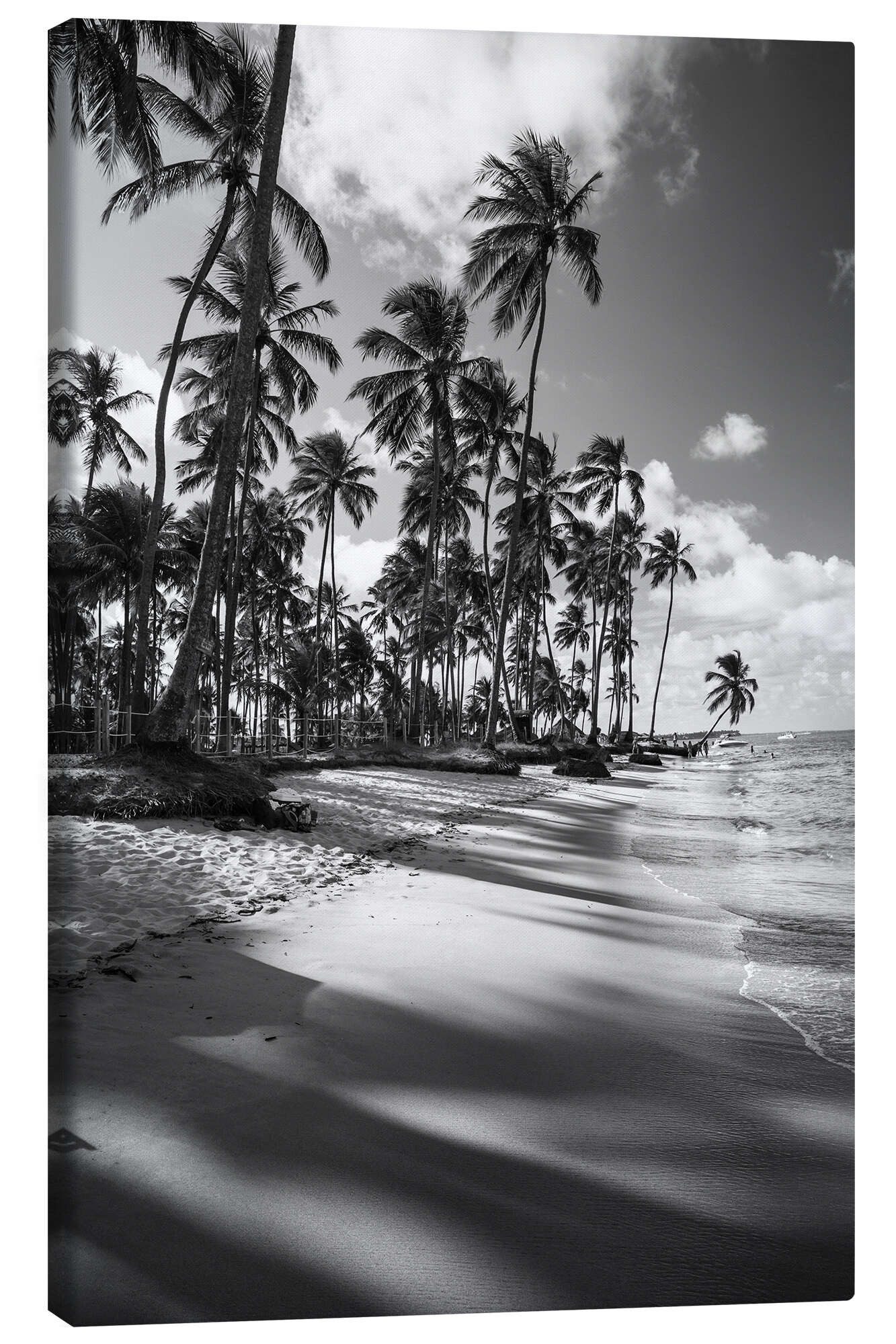 Posterlounge Wandbild Tropische Palmen an einem brasilianischen Strand, Alex Saberi, erhältlich als Poster, Leinwandbild, Wandsticker oder Acrylglasbild