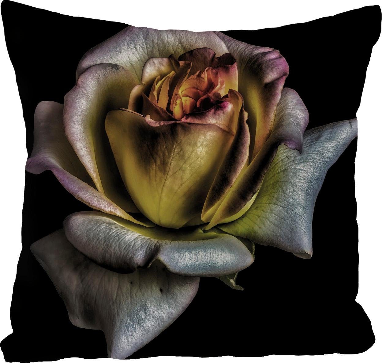 queence Декоративные подушки Blüte, Подушкиhülle ohne Füllung, 1 Stück