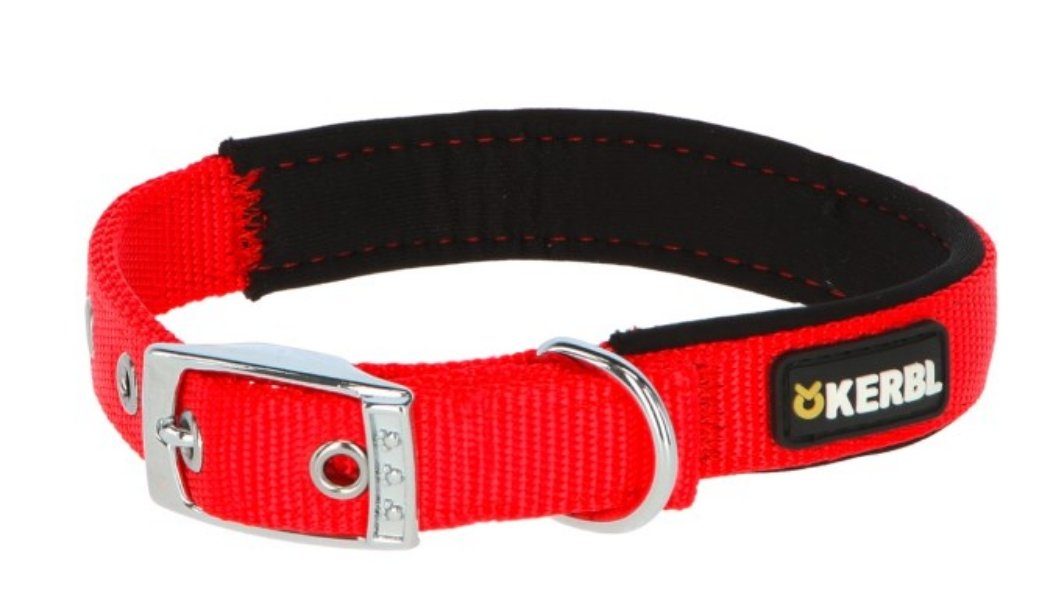 Hunde-Halsband Halsband Miami Plus 33 cm - 39 cm rot 83661