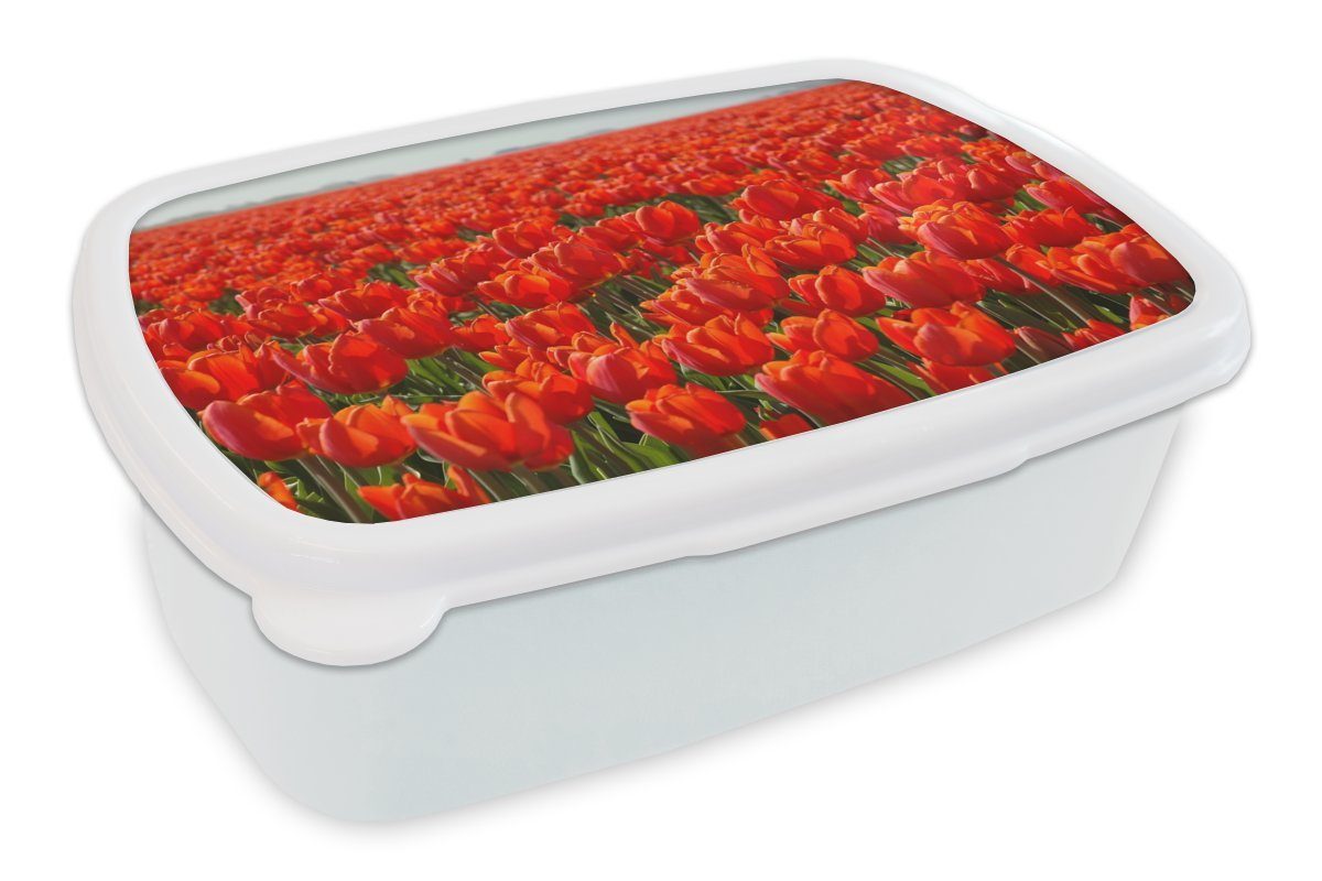 Tulpen, und und Jungs Brotdose, roten nur (2-tlg), MuchoWow Feld Lunchbox Ein mit Brotbox weiß Kinder Erwachsene, Mädchen Kunststoff, für großes für