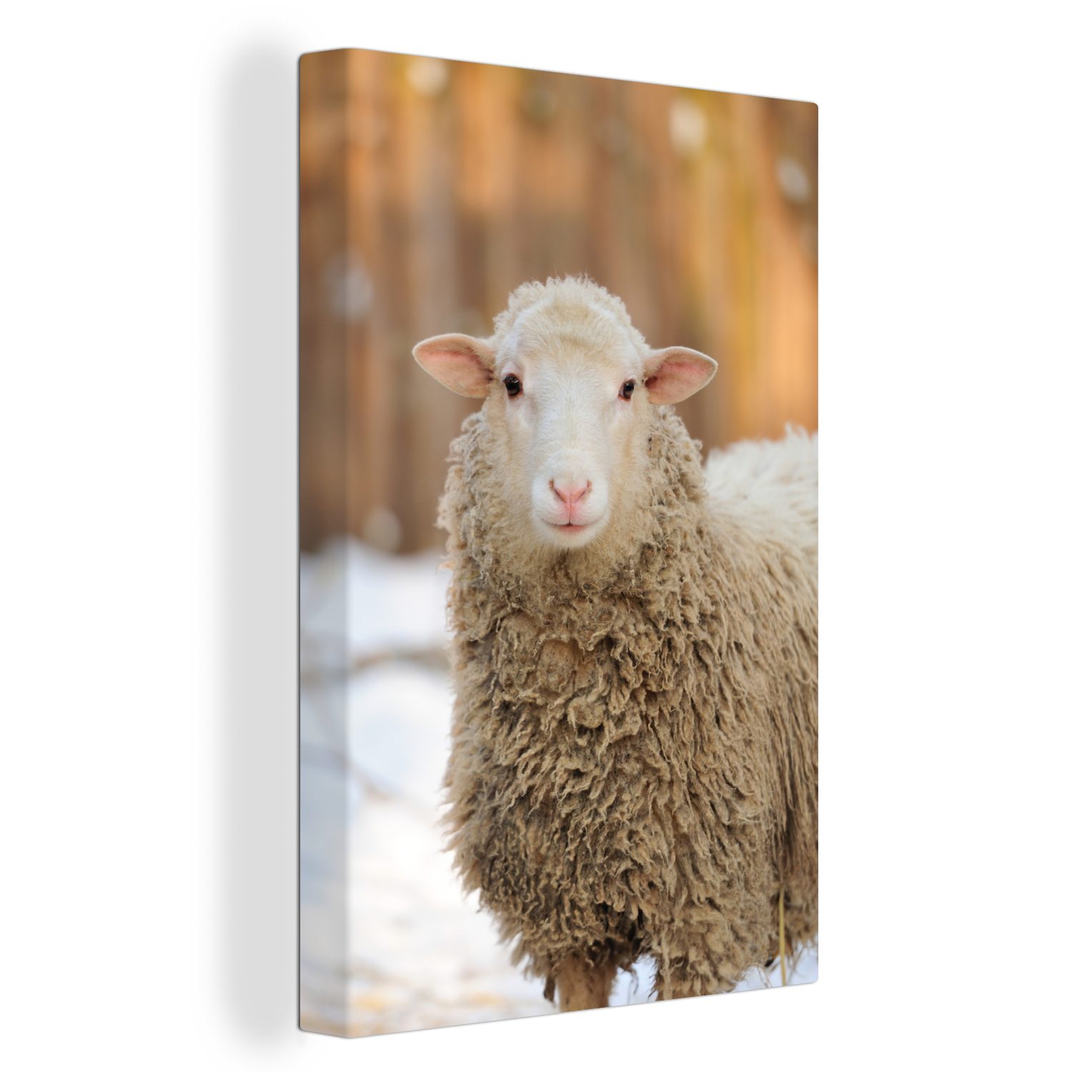 OneMillionCanvasses® Leinwandbild Schafe - Schnee - Wolle, (1 St), Leinwandbild fertig bespannt inkl. Zackenaufhänger, Gemälde, 20x30 cm