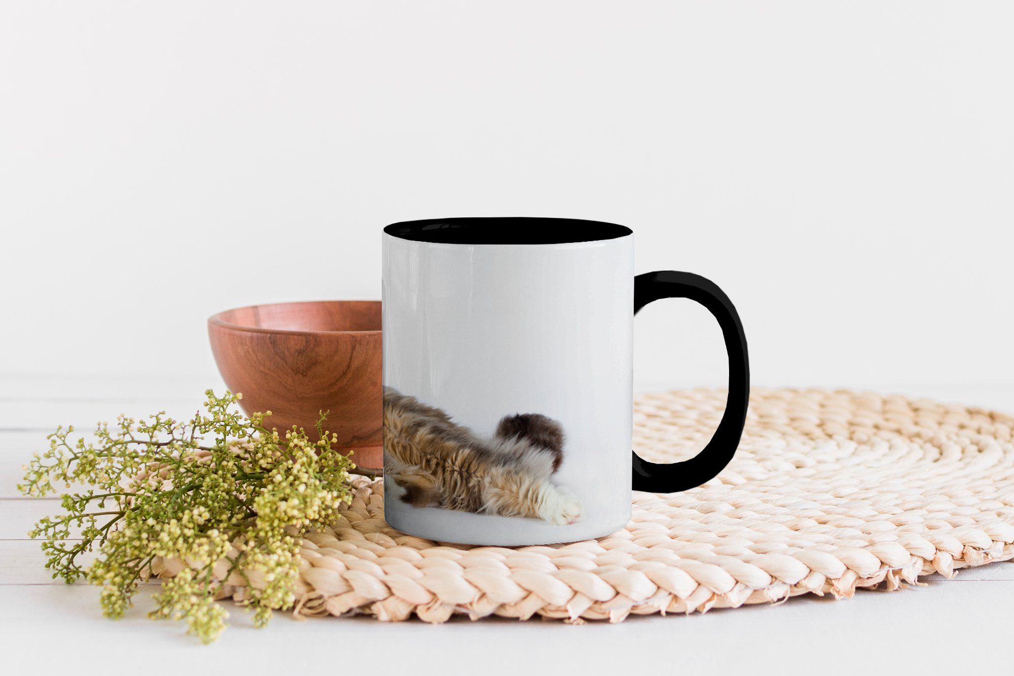Teetasse, Studioaufnahme Keramik, Tasse Coon bunten Farbwechsel, Zaubertasse, Maine Geschenk einer Kaffeetassen, Katze, MuchoWow