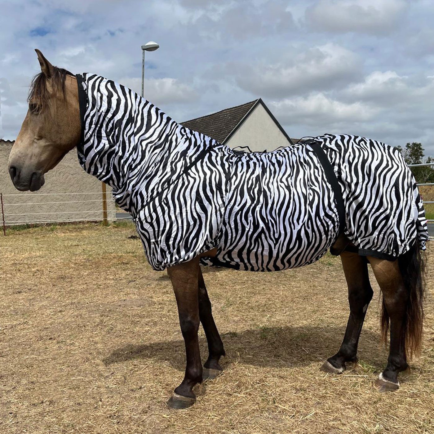 Brama-West Pferde-Fliegendecke Ekzemerdecke mit Halsteil – Spezial-Zebradesign zur Insektenabwehr