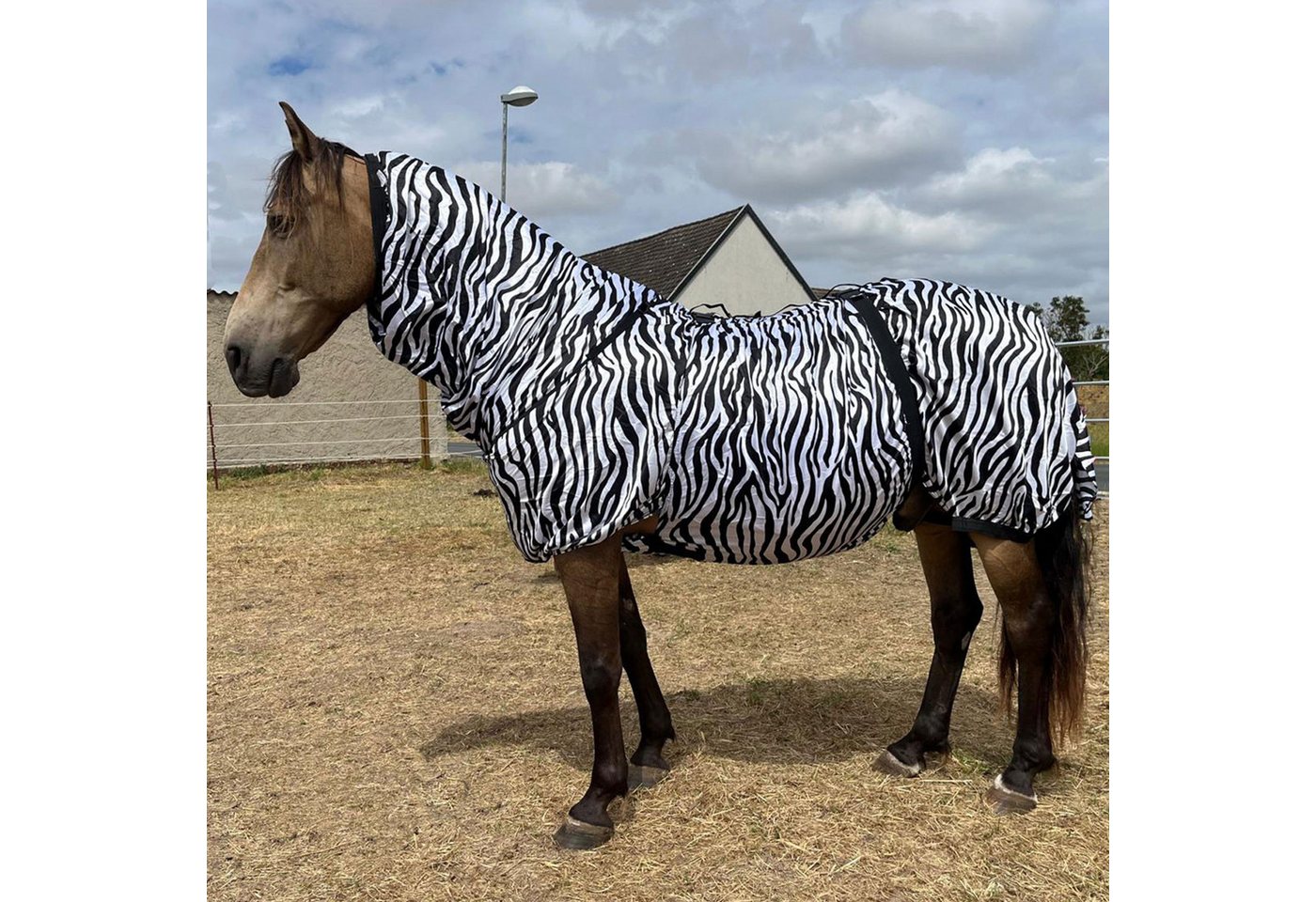 Brama-West Pferde-Fliegendecke Ekzemerdecke mit Halsteil – Spezial-Zebradesign zur Insektenabwehr