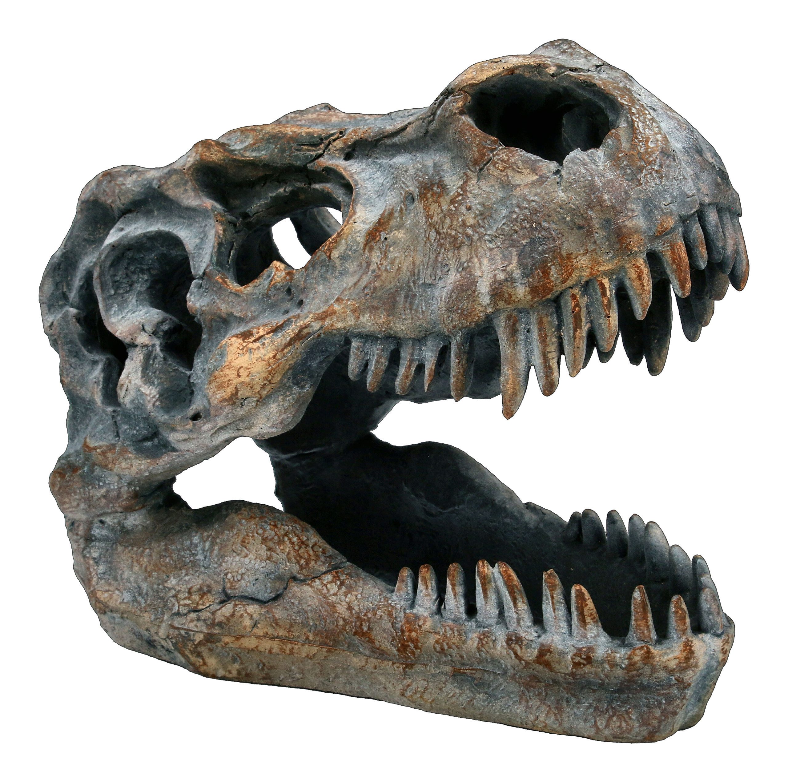 Figuren Shop GmbH Dekofigur Totenkopf - Tyrannosaurus Rex - klein - Deko T- günstig online kaufen