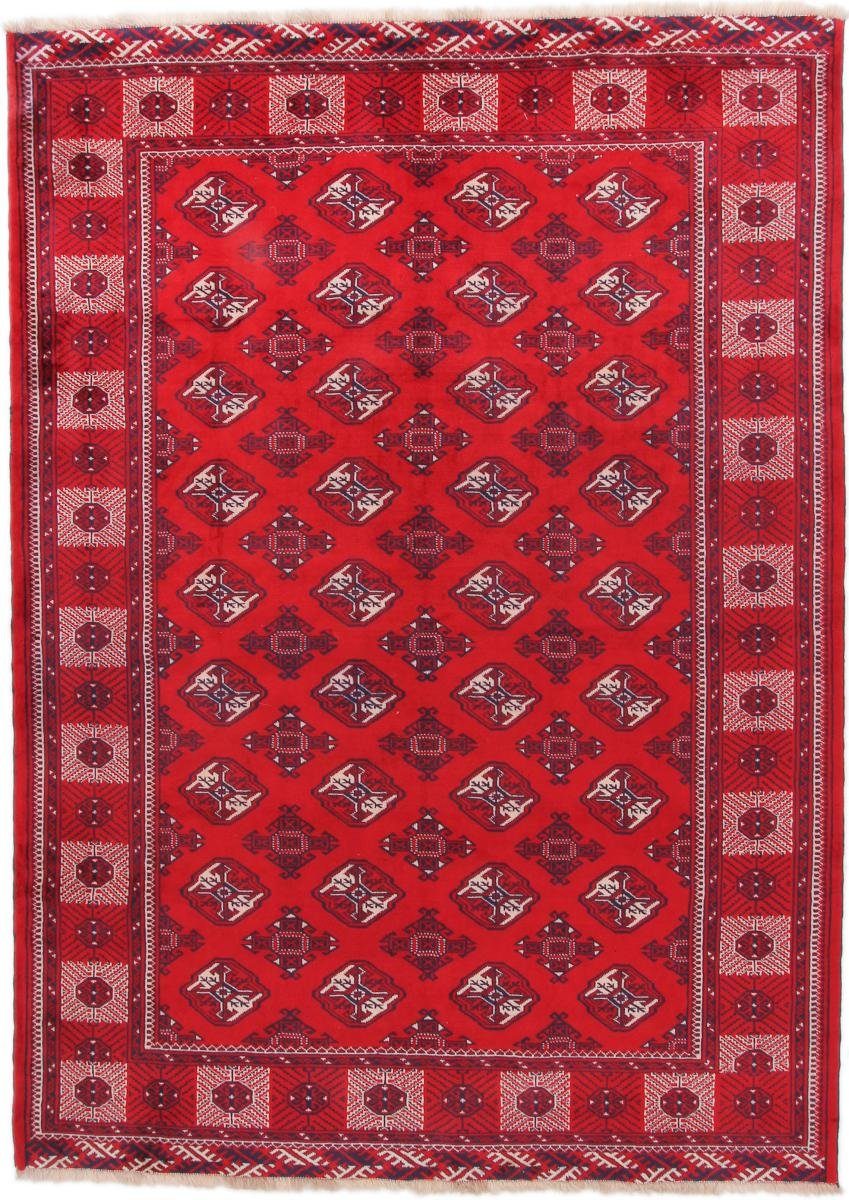 Orientteppich Turkaman 206x290 Handgeknüpfter Orientteppich / Perserteppich, Nain Trading, rechteckig, Höhe: 6 mm