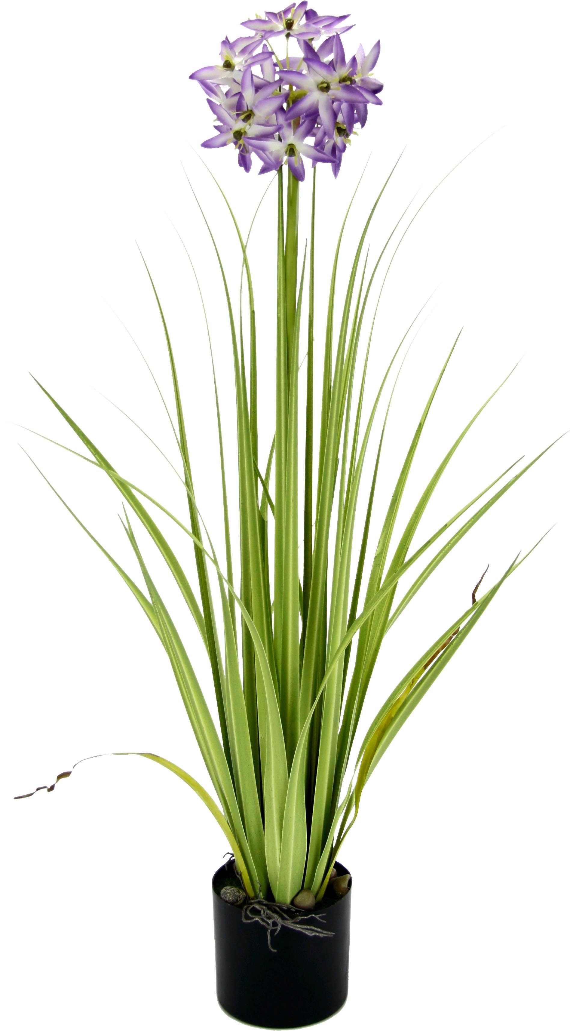 Kunstblume Allium, I.GE.A., Höhe 68 cm, im Topf, künstliche Blume, Deko