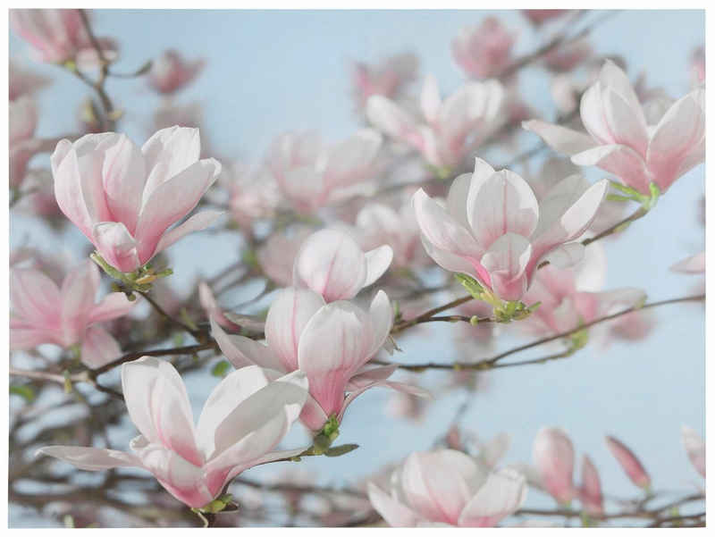Komar Fototapete »Magnolia«, glatt, bedruckt, Wald, geblümt, (Set), ausgezeichnet lichtbeständig