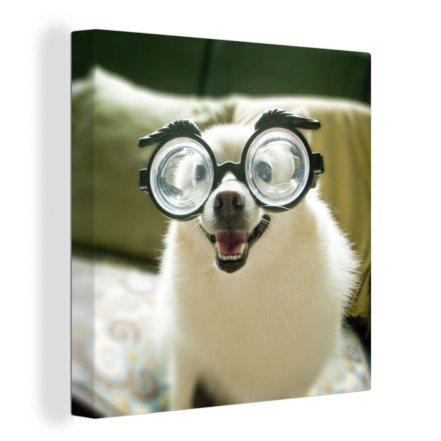 OneMillionCanvasses® Leinwandbild Tier - Hund - Schutzbrille, (1 St), Leinwand Bilder für Wohnzimmer Schlafzimmer