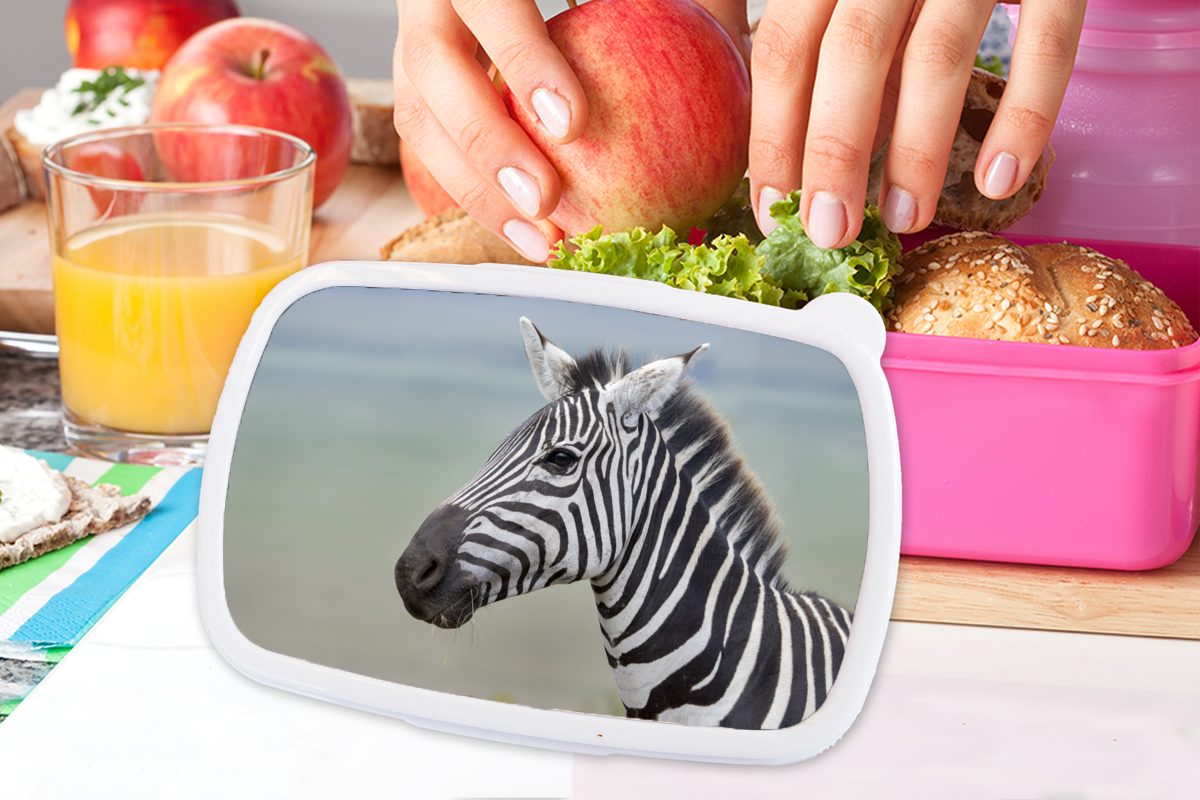 Snackbox, (2-tlg), Nahaufnahme, Kunststoff, Lunchbox Brotdose für Kinder, Erwachsene, Kunststoff Brotbox MuchoWow Zebra rosa Mädchen,