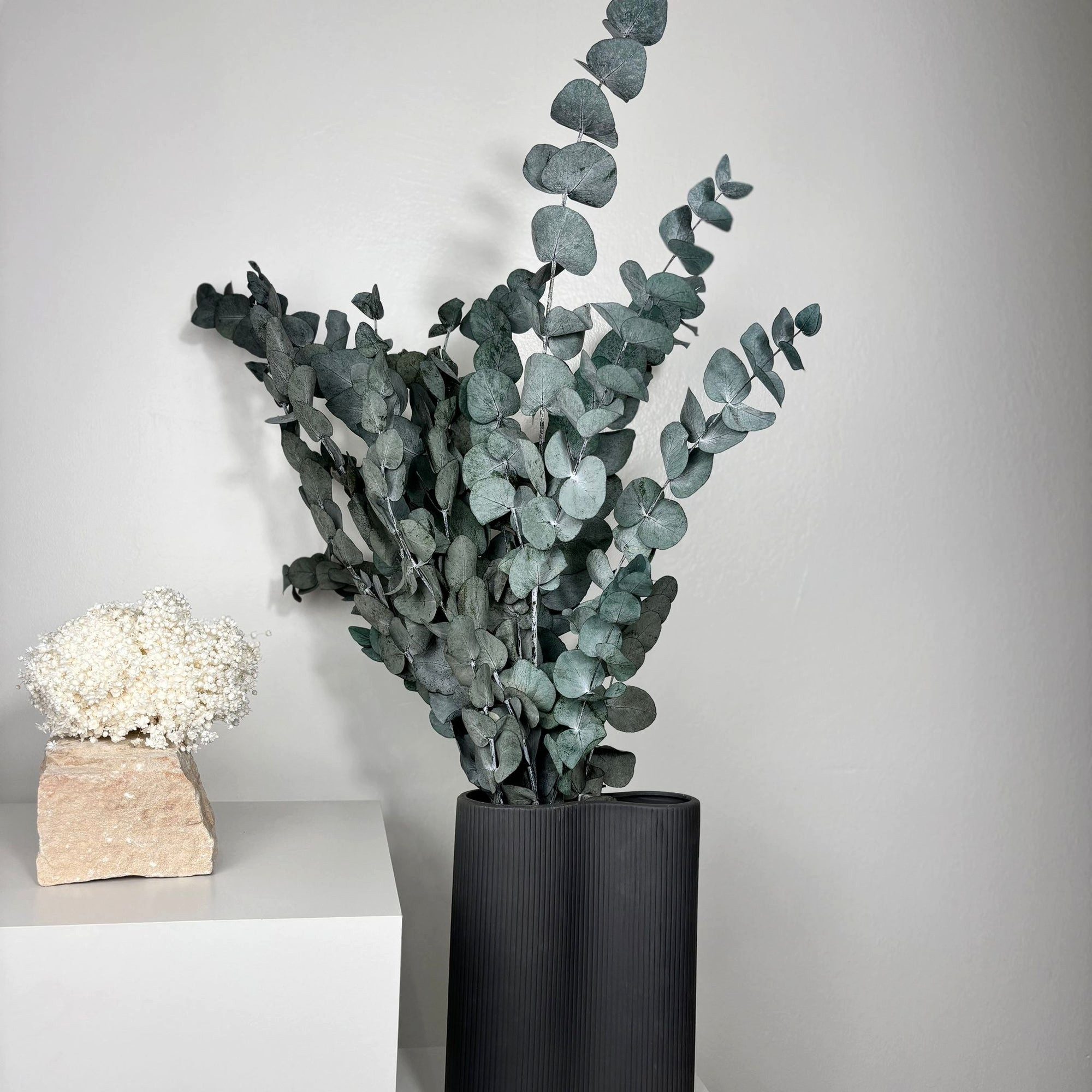 Trockenblume Konservierter Eukalyptus Cinerea 60–70 cm – halbes Bund, Trockenblumen Eukalyptus, LYKKE & You, konserviert, kein Wasser benötigt, charakteristisch – Bild 3 von 5
