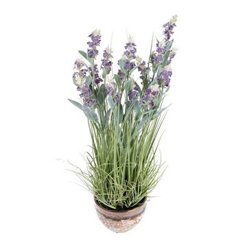 Kunstpflanze Kunstblumen Lavendel in brauner Topf, Lila, 66 cm hoch, Homescapes, Höhe 66 cm