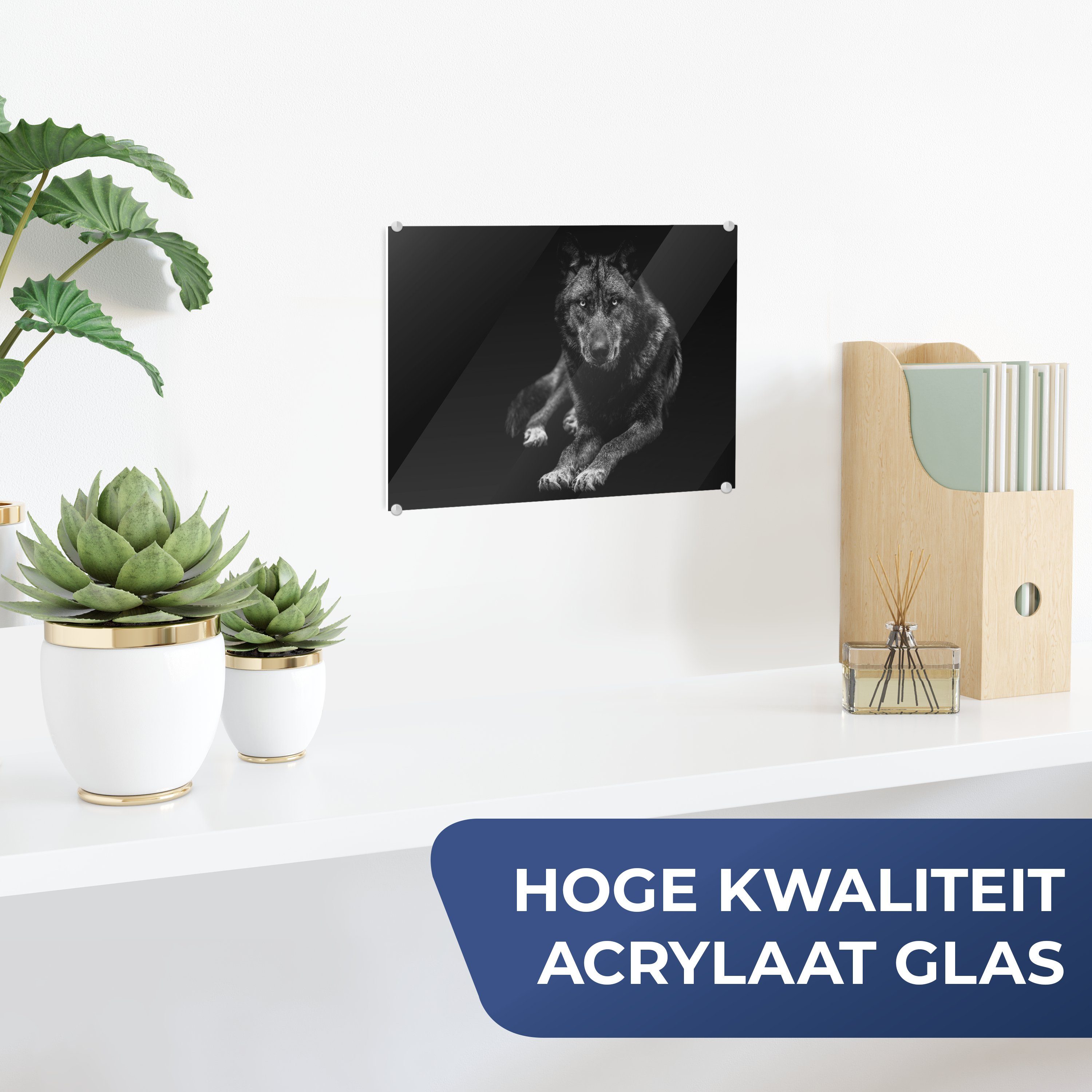 MuchoWow Acrylglasbild Tiere - Wolf - günstig online kaufen