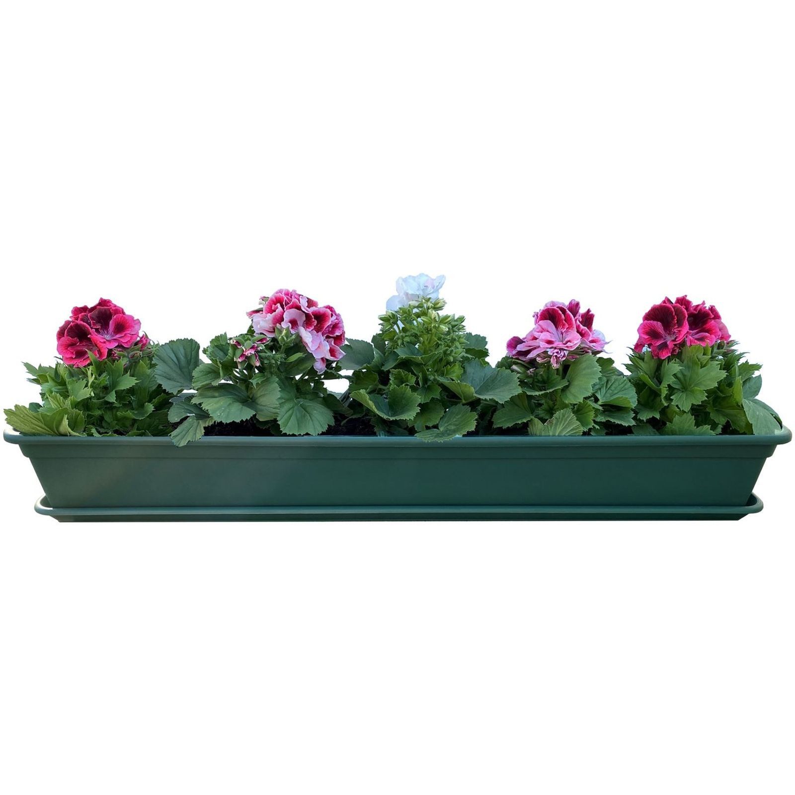 BURI Blumenkasten Blumenkasten Grün 80 oder 100cm Balkonkasten Pflanzkasten mit Einleger (1 St)