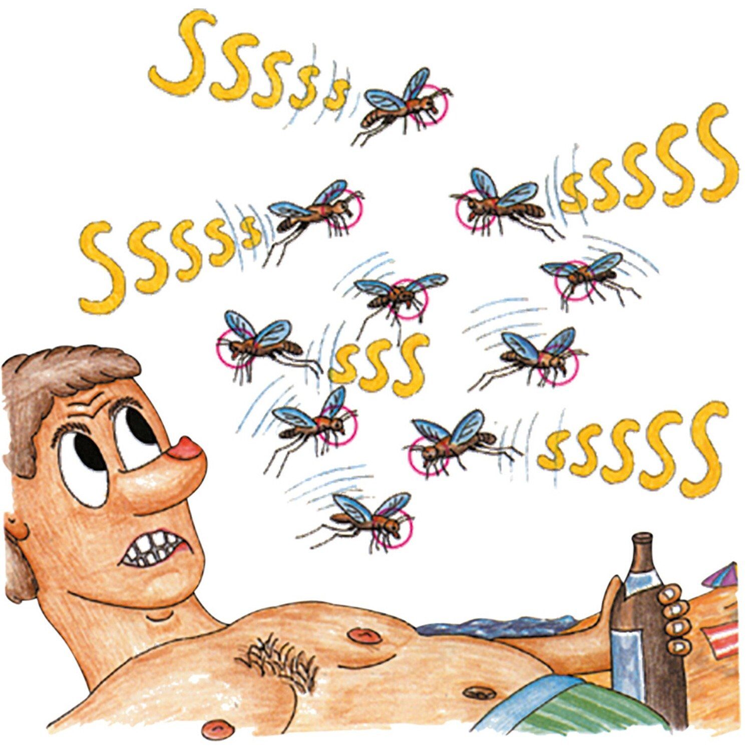 Mücke braun-network Zielscheibe Schießscheibe