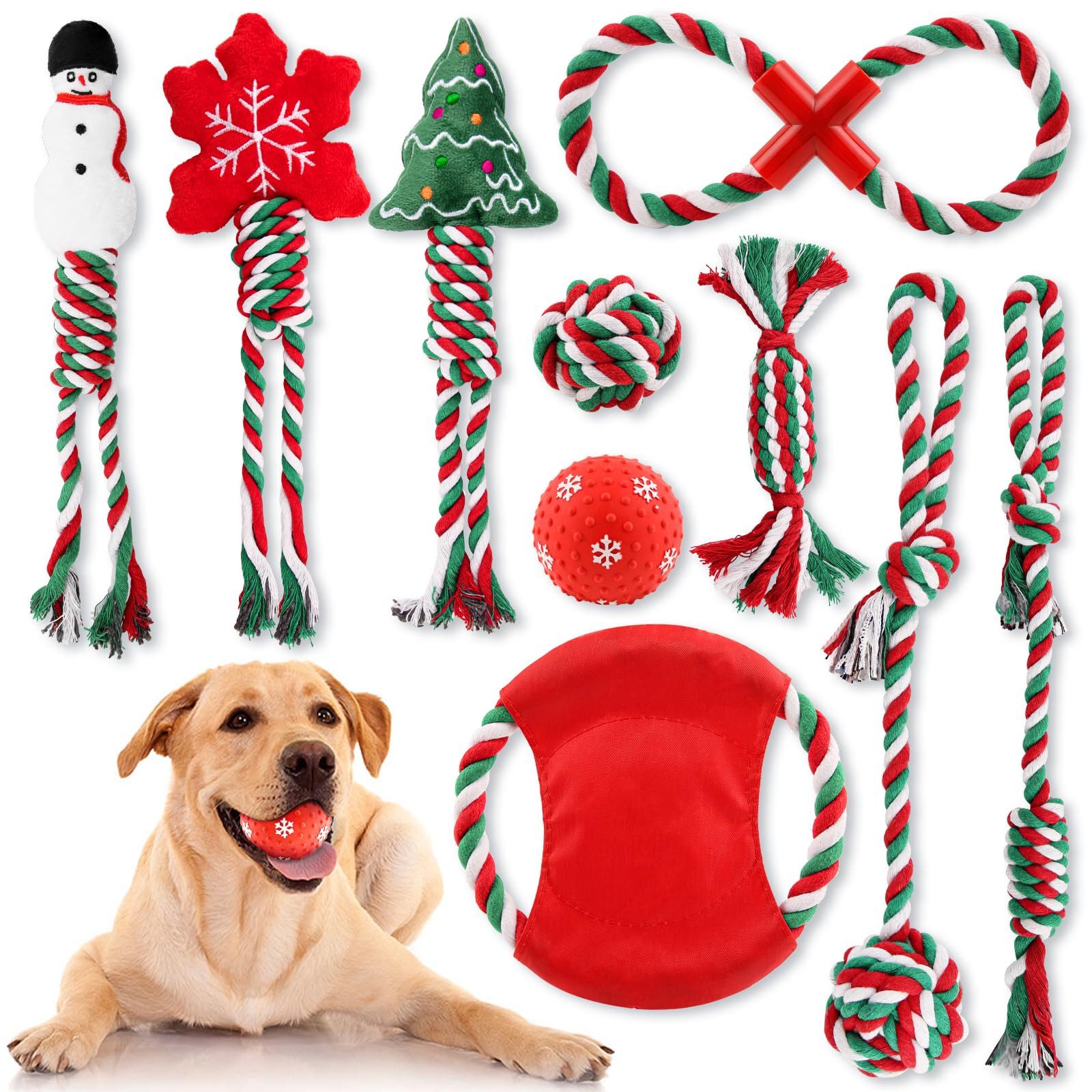 Ledander Tiertaue Hundespielzeug Set 10-teilig, Welpenspielzeug mit Kauspielzeug, (10-tlg) Seilspielzeug und Quietschspielzeug für kleine Hunde