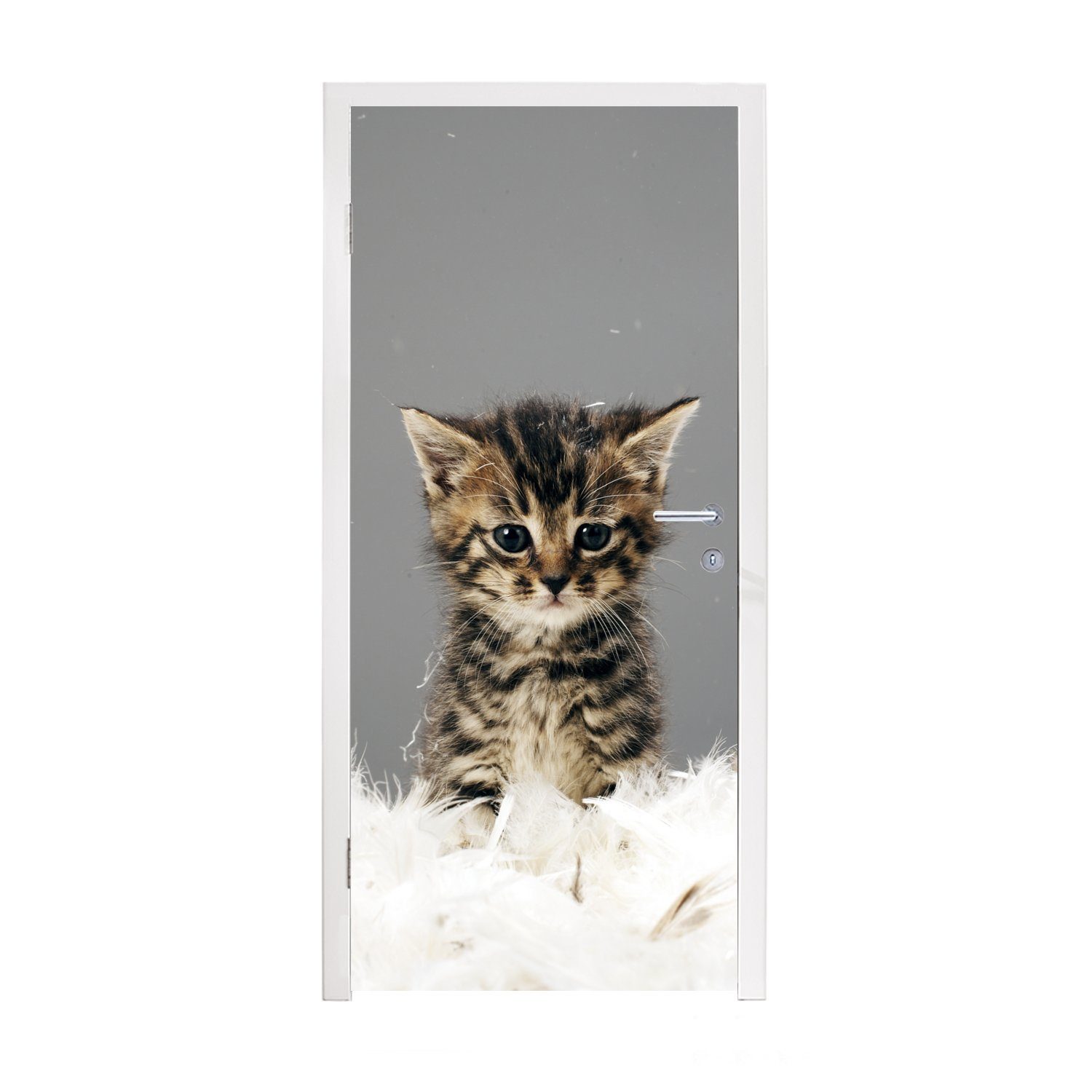 MuchoWow Türtapete Kätzchen - Federn - Grau, Matt, bedruckt, (1 St), Fototapete für Tür, Türaufkleber, 75x205 cm