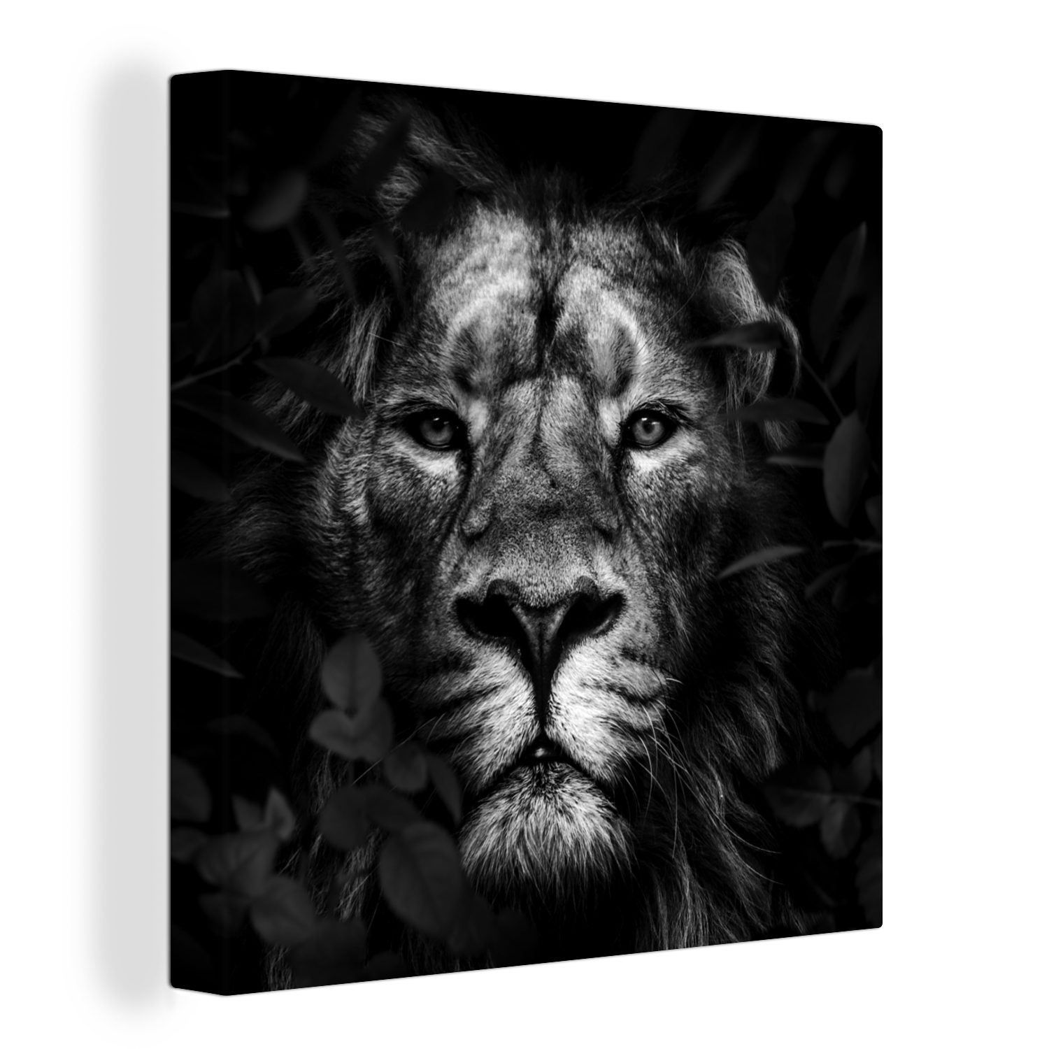 OneMillionCanvasses® Leinwandbild Pflanzen - Löwe - Dschungel - Schwarz - Weiß, (1 St), Leinwand Bilder für Wohnzimmer Schlafzimmer